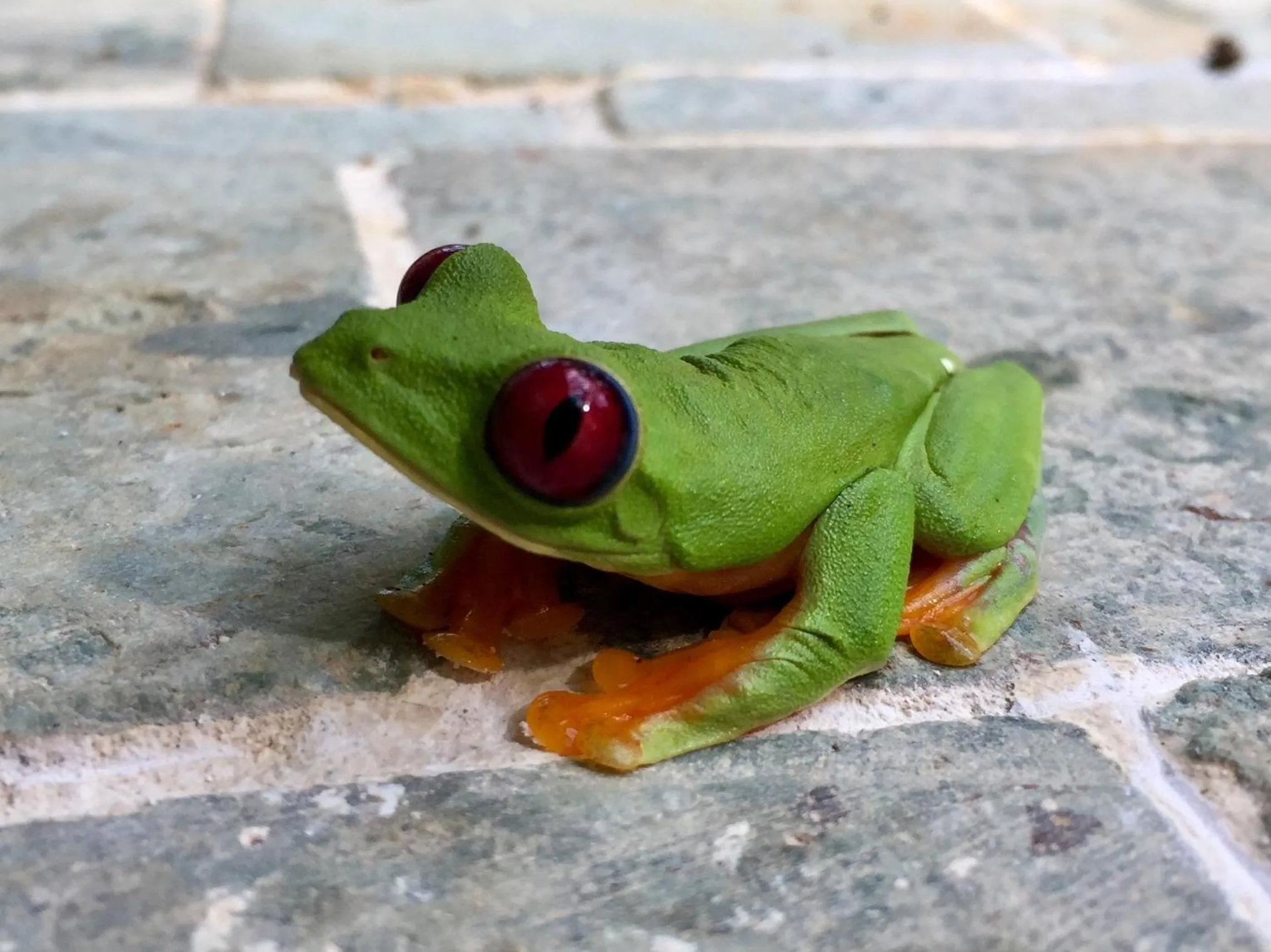 Natural landscape in Rancho Pacifico - Boutique Hotel for Adults