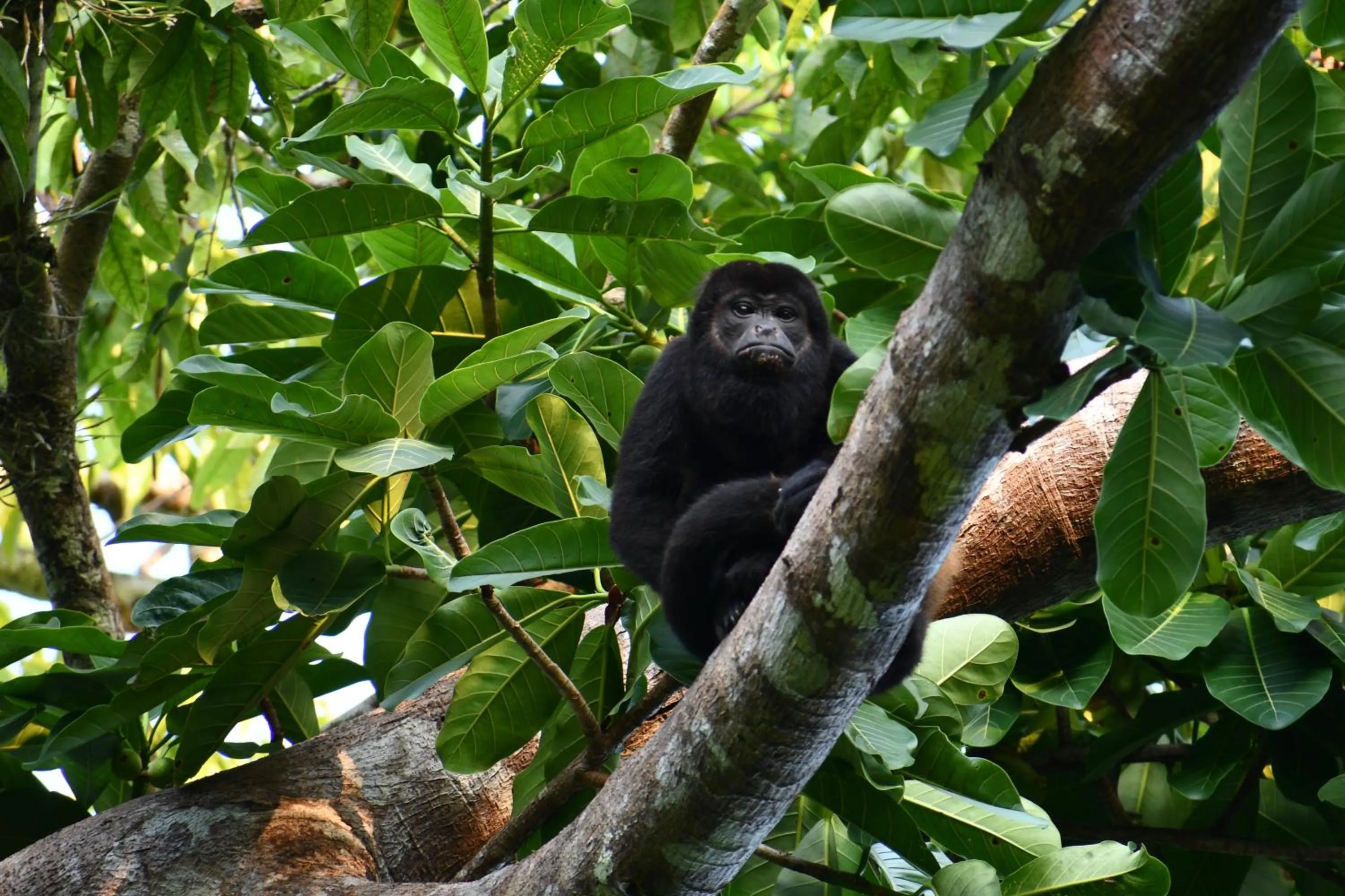 Natural landscape in Rancho Pacifico - Boutique Hotel for Adults