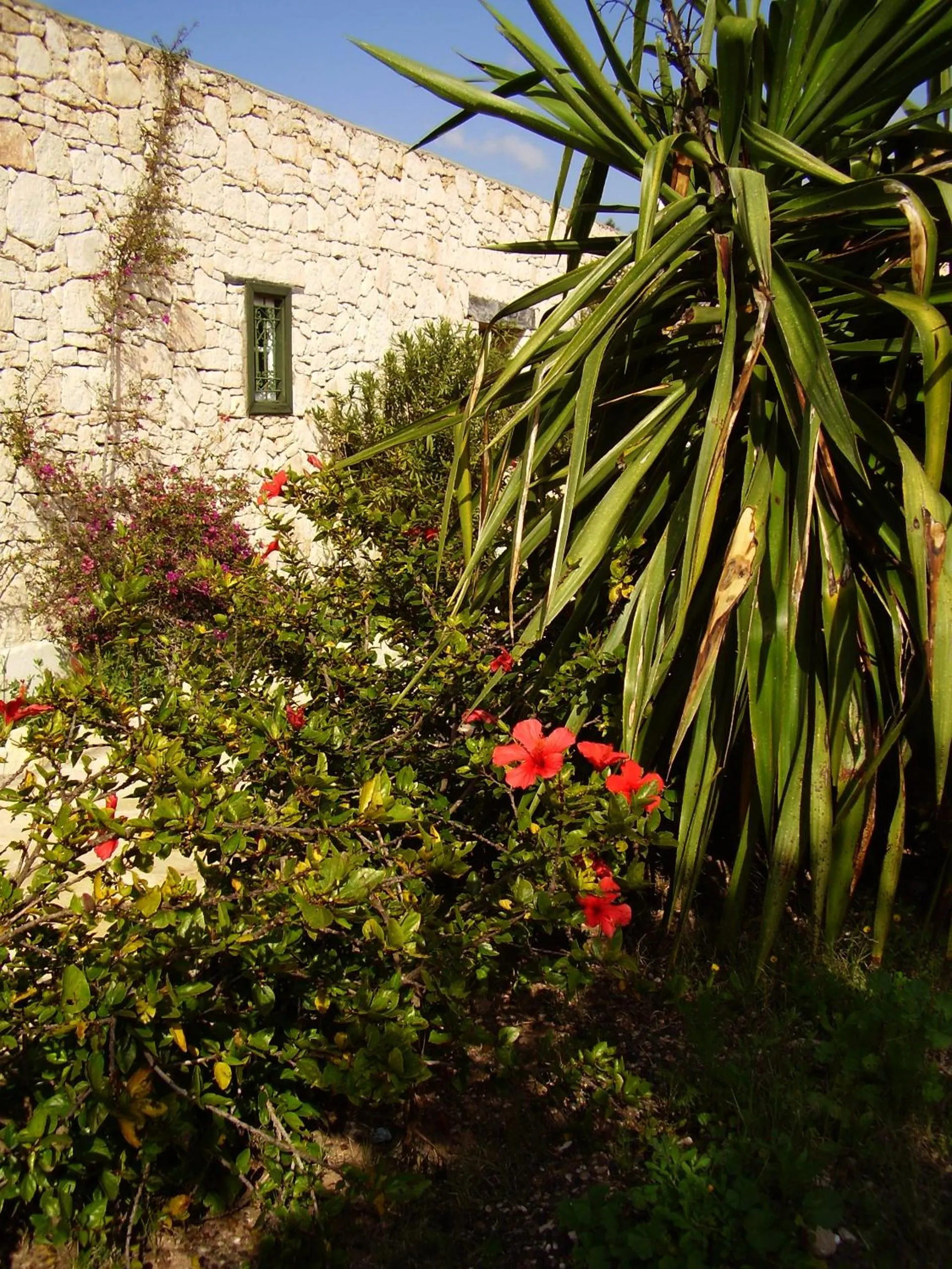 Garden in Les Jardins de Villa Maroc