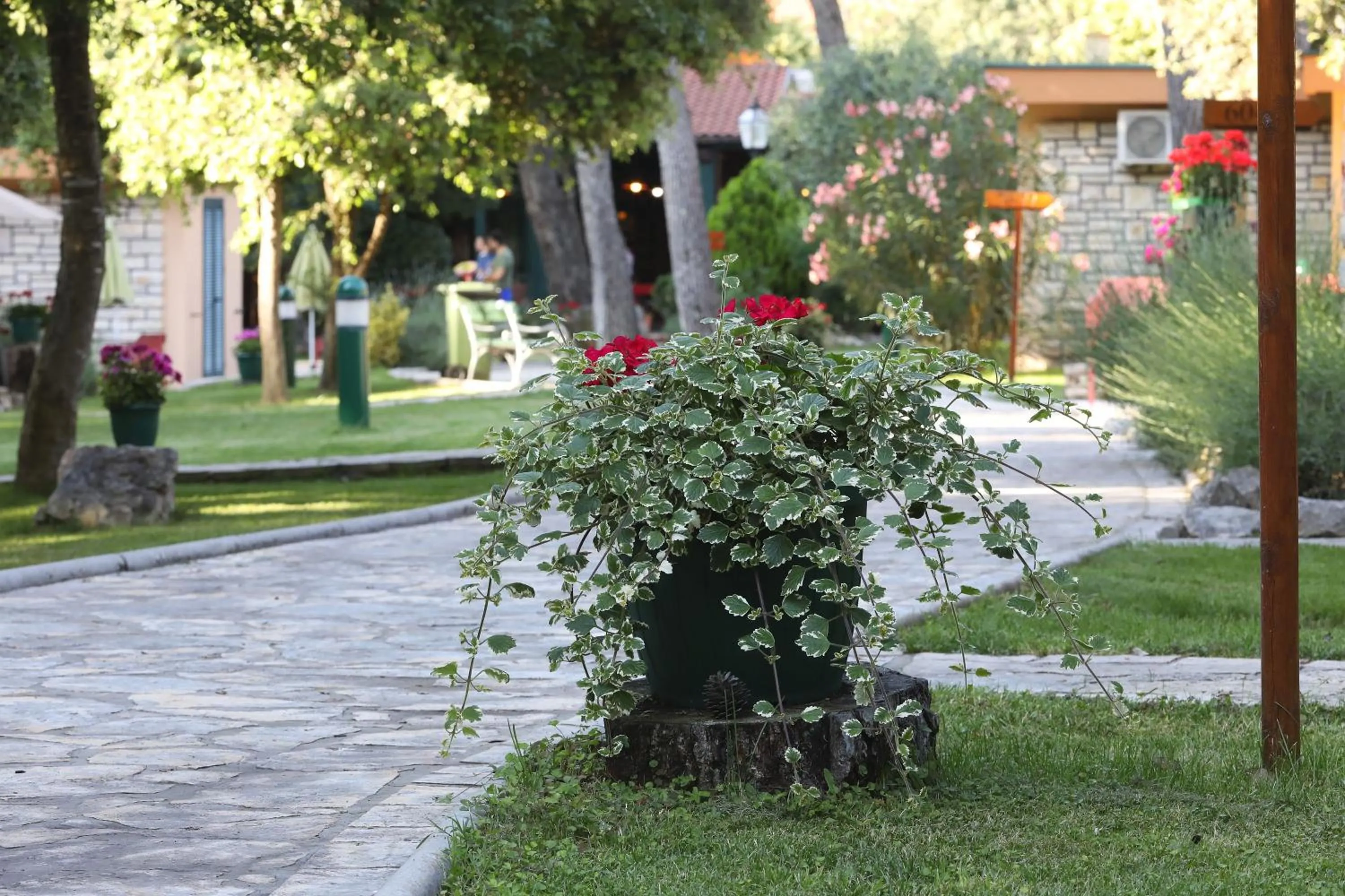 Garden in Mediterranean Village San Antonio