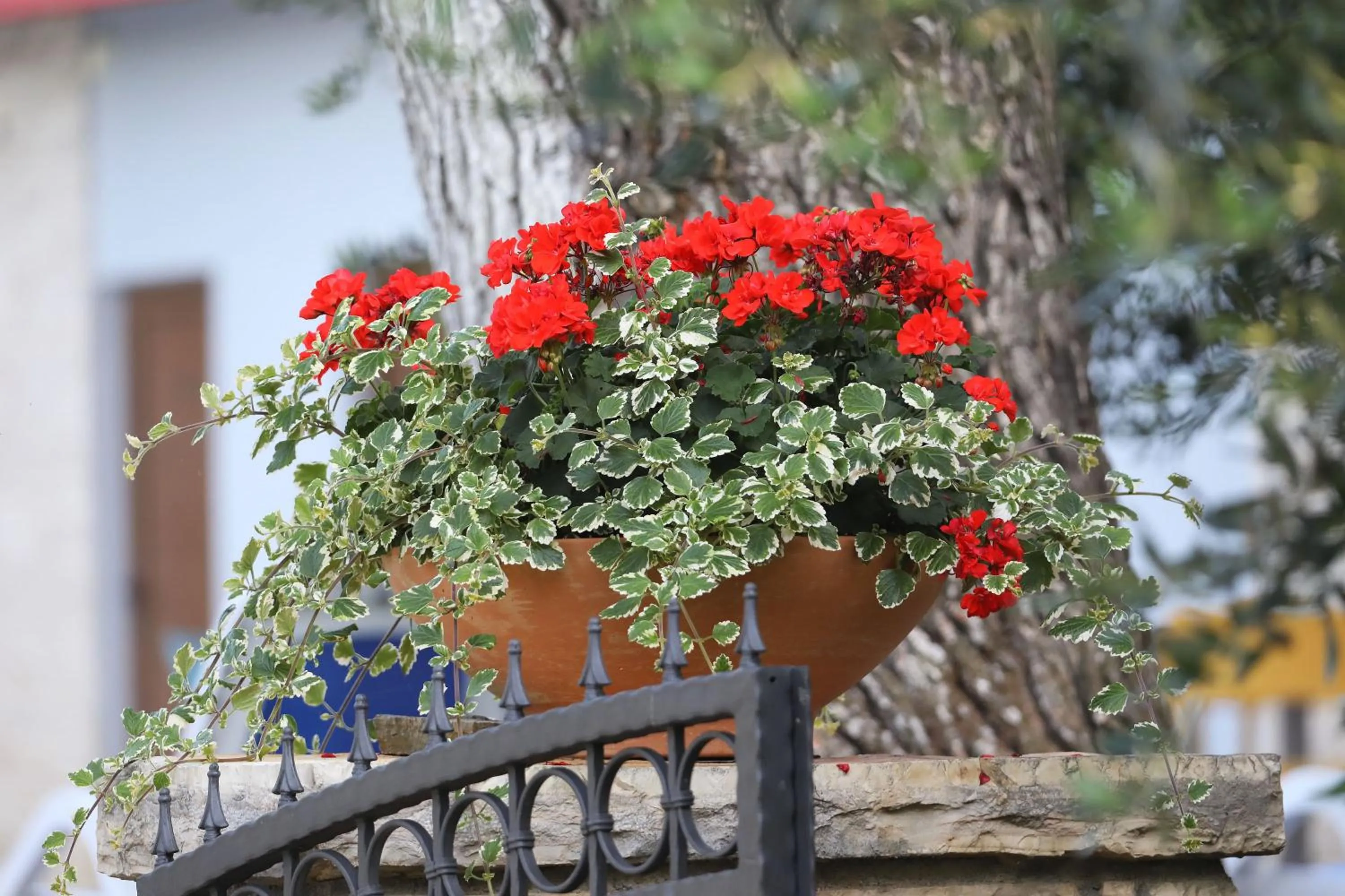 Day in Mediterranean Village San Antonio