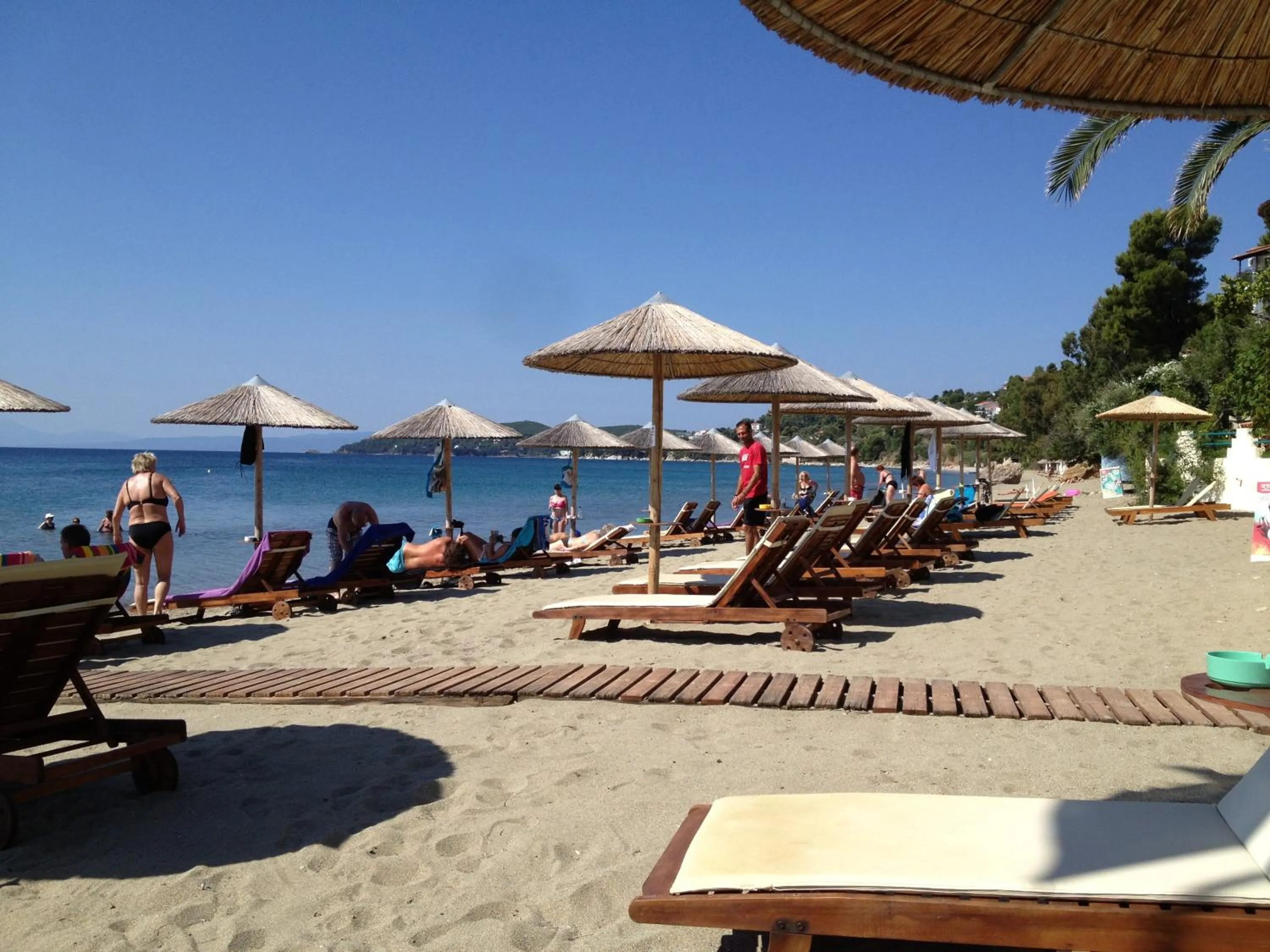 Area and facilities in Angeliki Beach Hotel