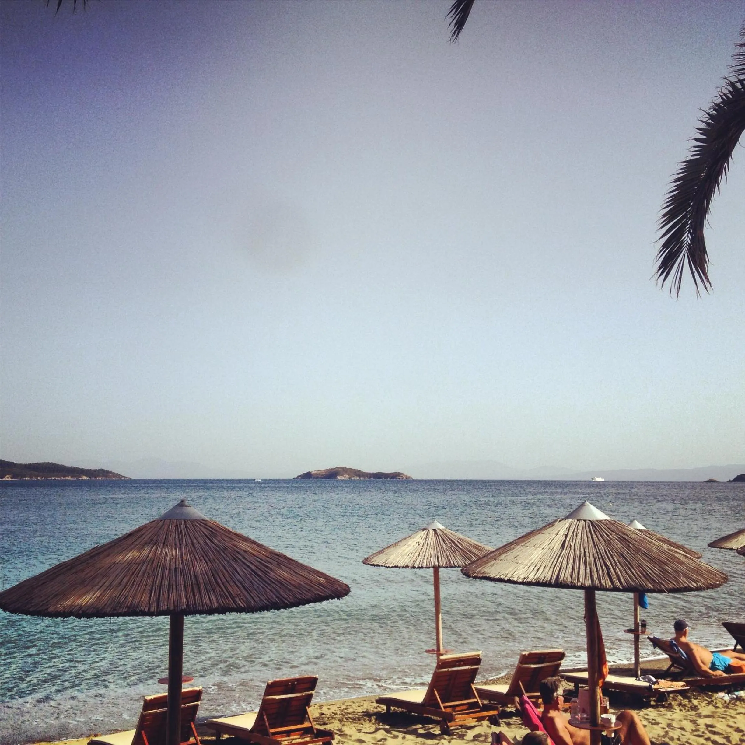 Area and facilities in Angeliki Beach Hotel