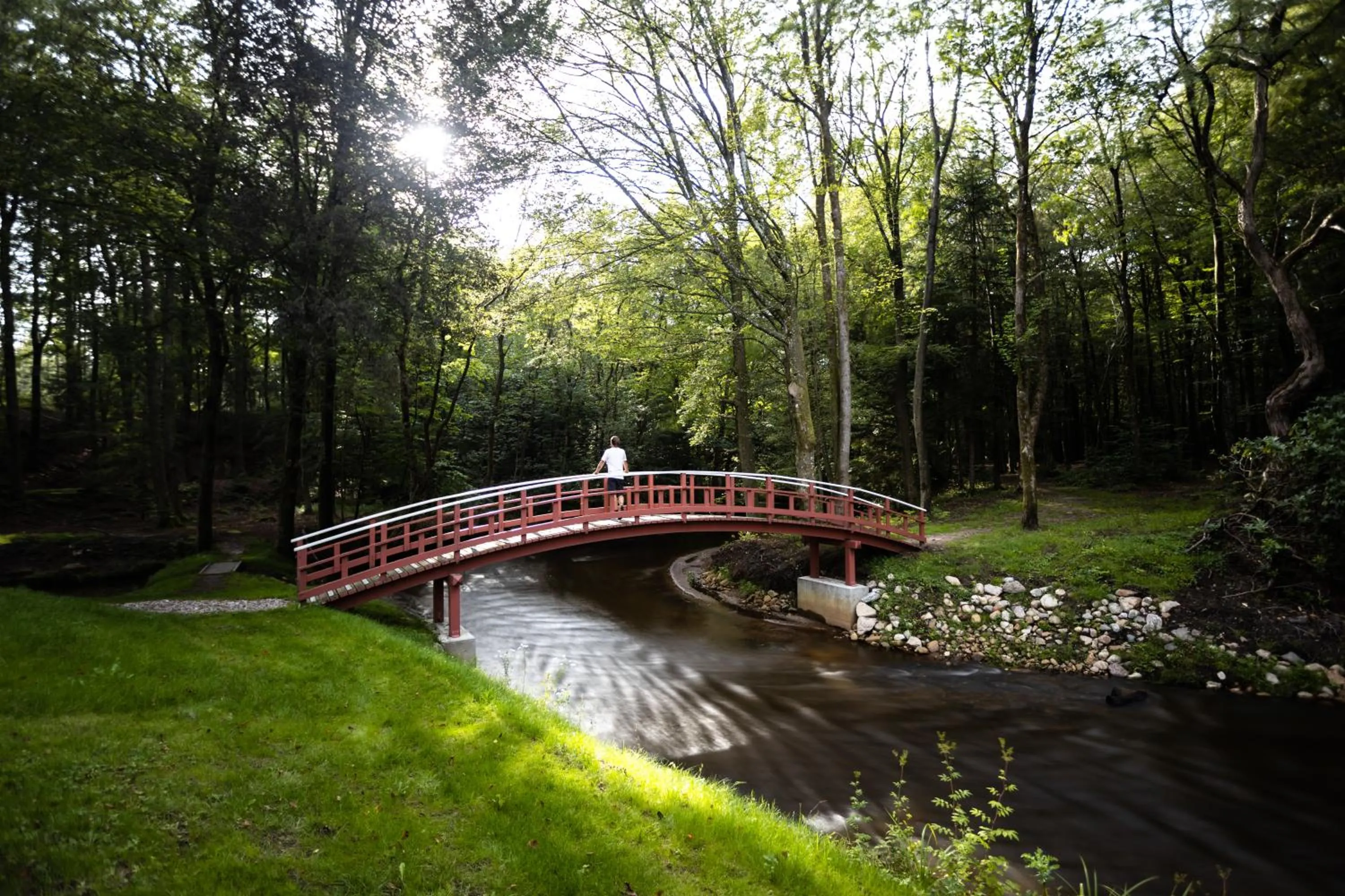 Natural landscape in Skarrildhus Sinatur Hotel & Konference