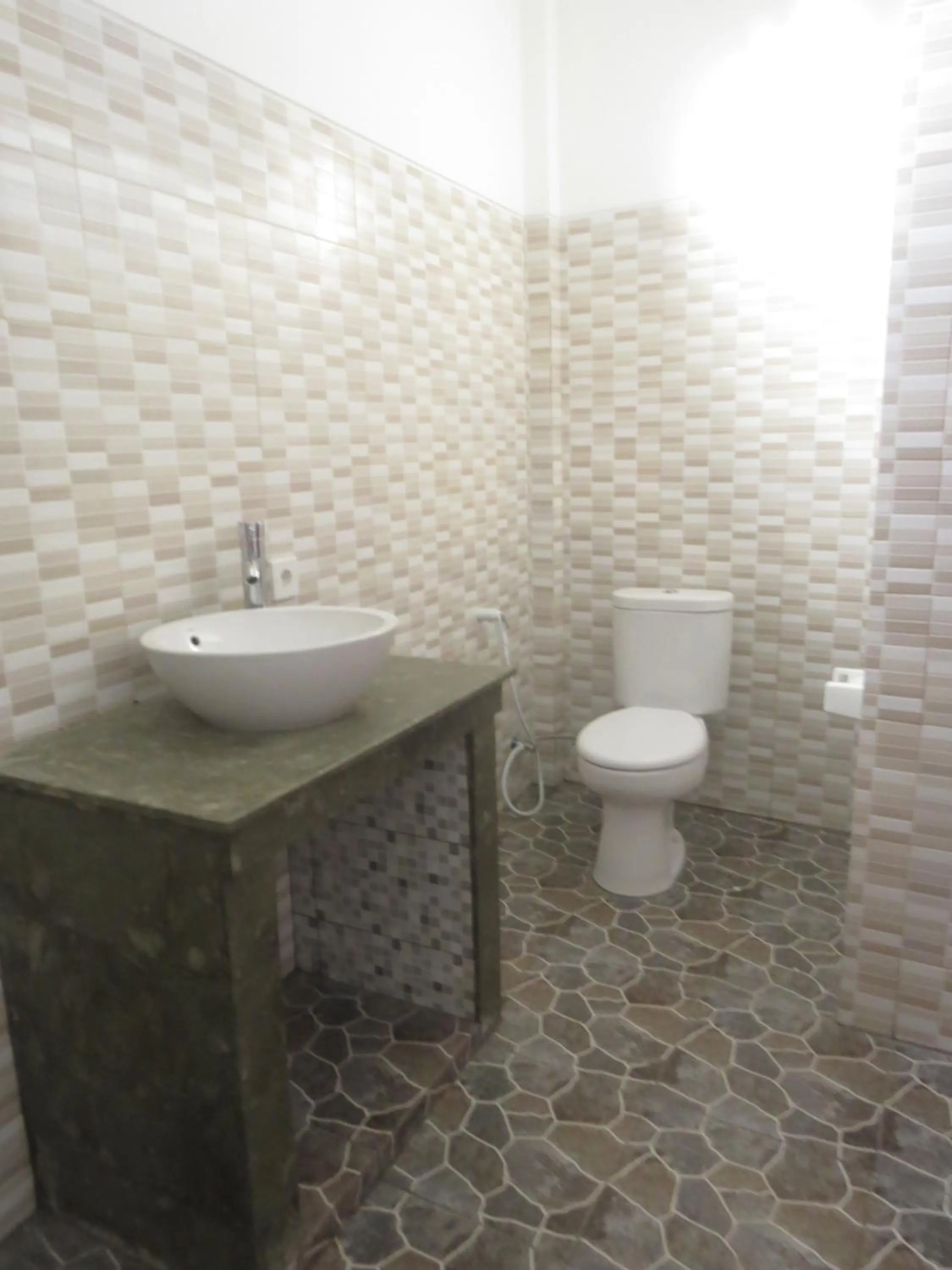 Toilet in Blue Royal Amed