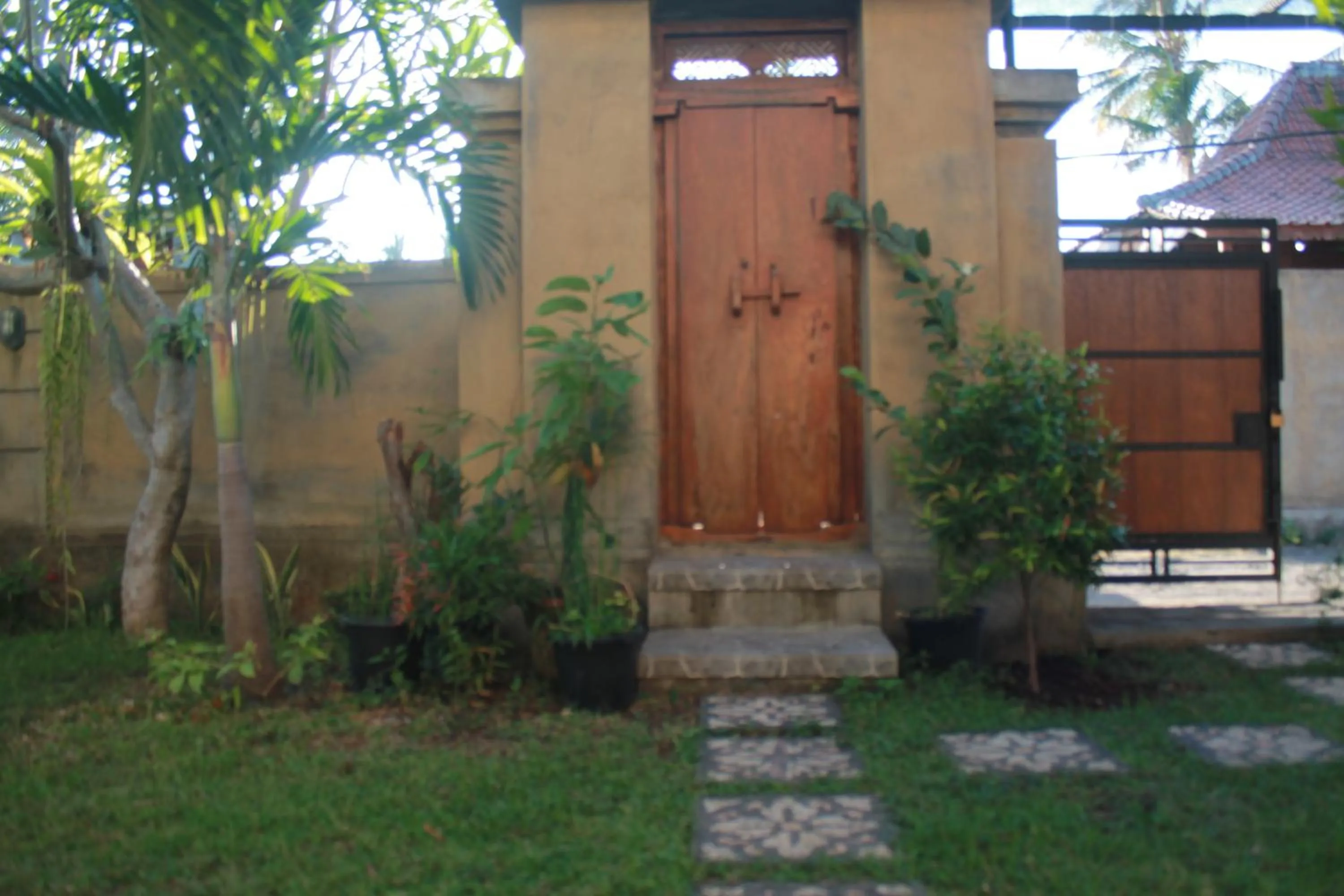 Bird's eye view in Blue Royal Amed