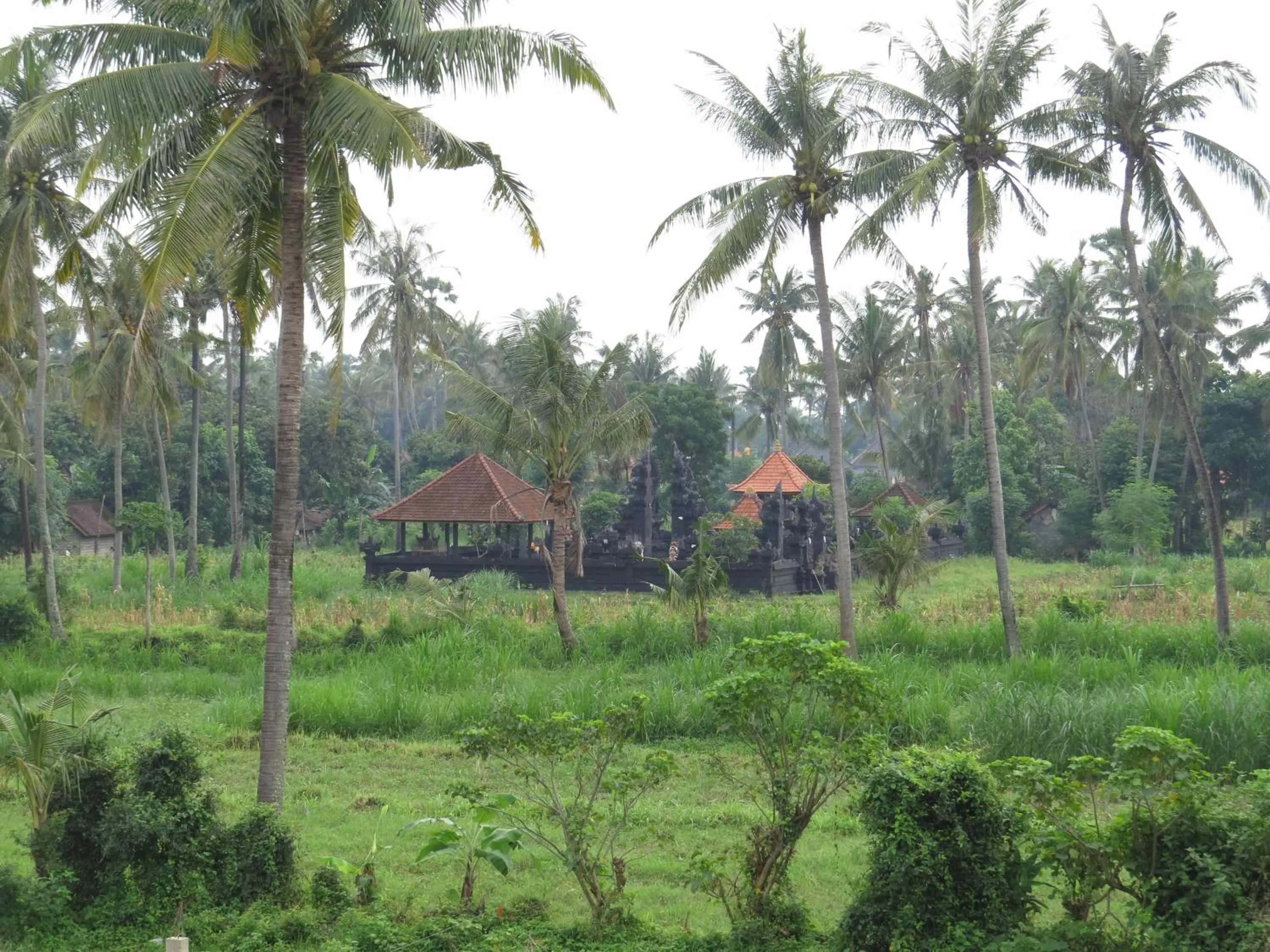 Garden view in Blue Royal Amed