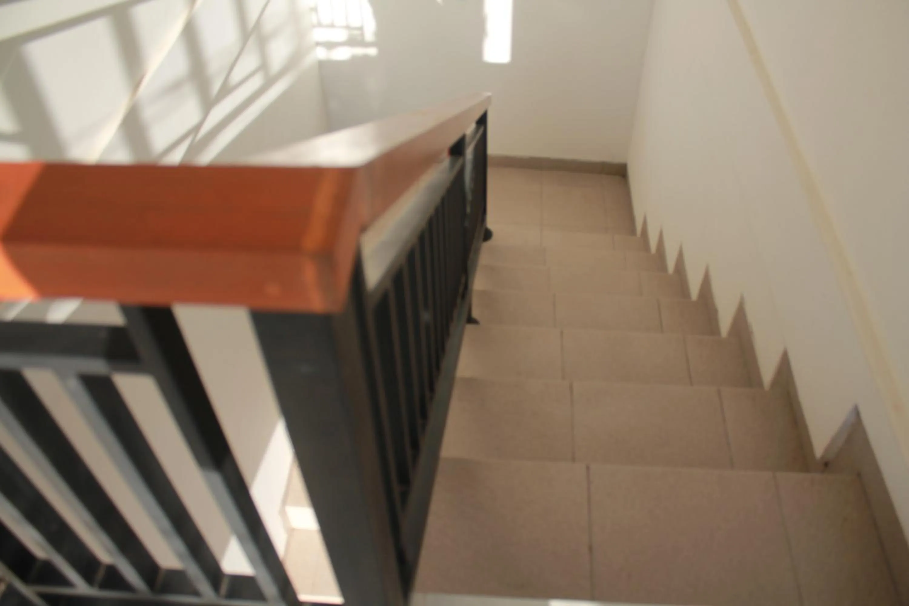 Floor plan in Blue Royal Amed