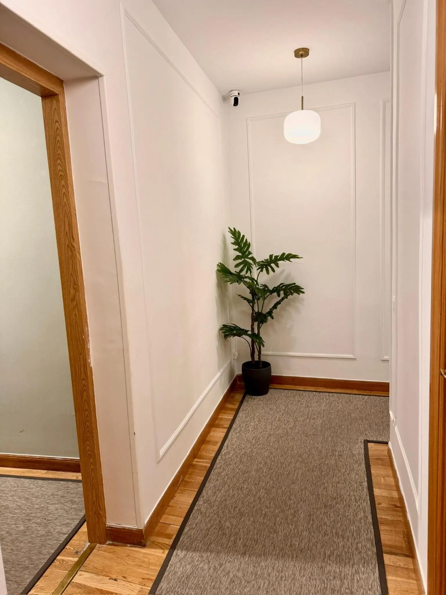 Area and facilities in CH Rayuela