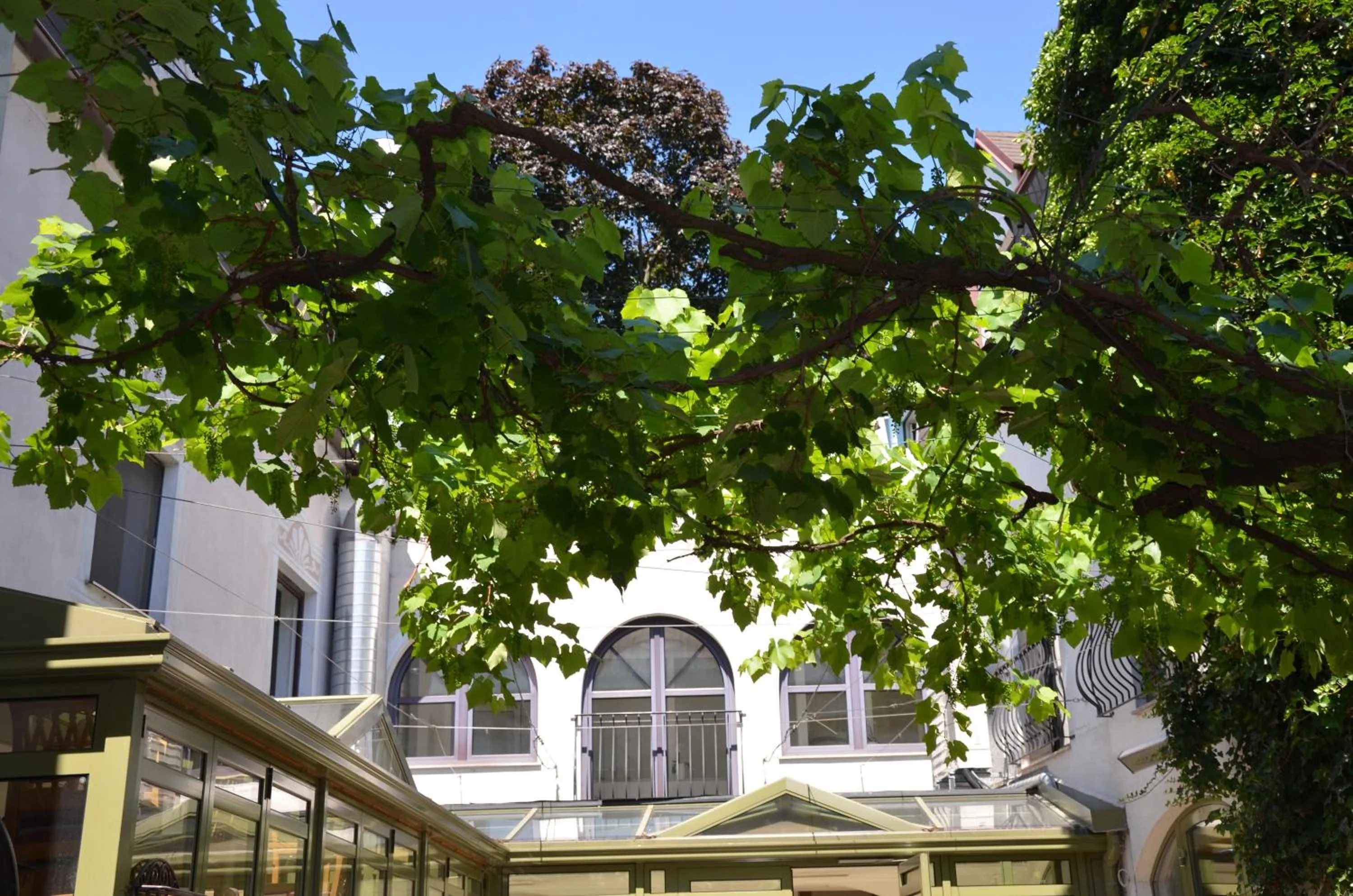 Patio in Das Stadthaus