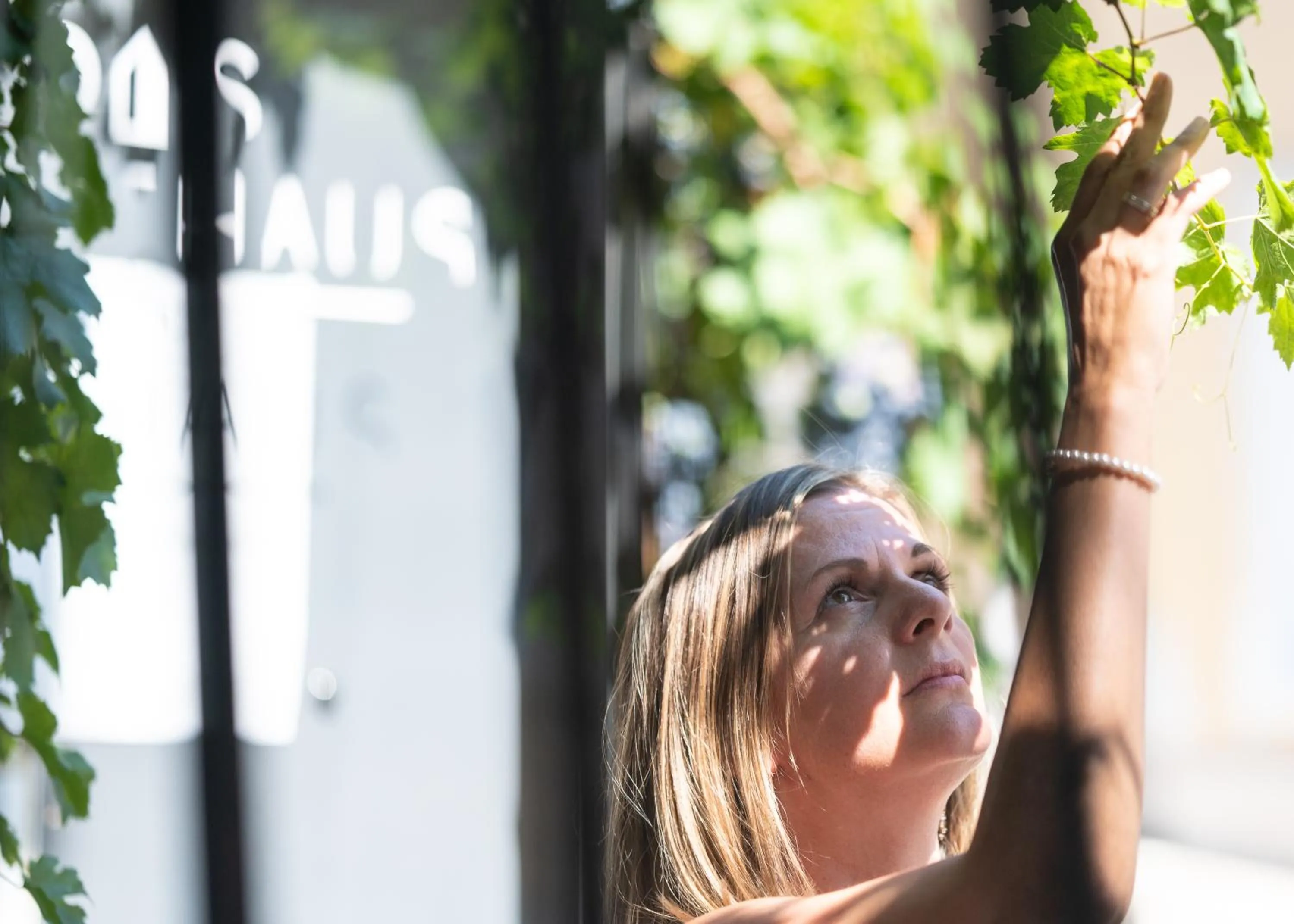 Facade/entrance in Das Stadthaus