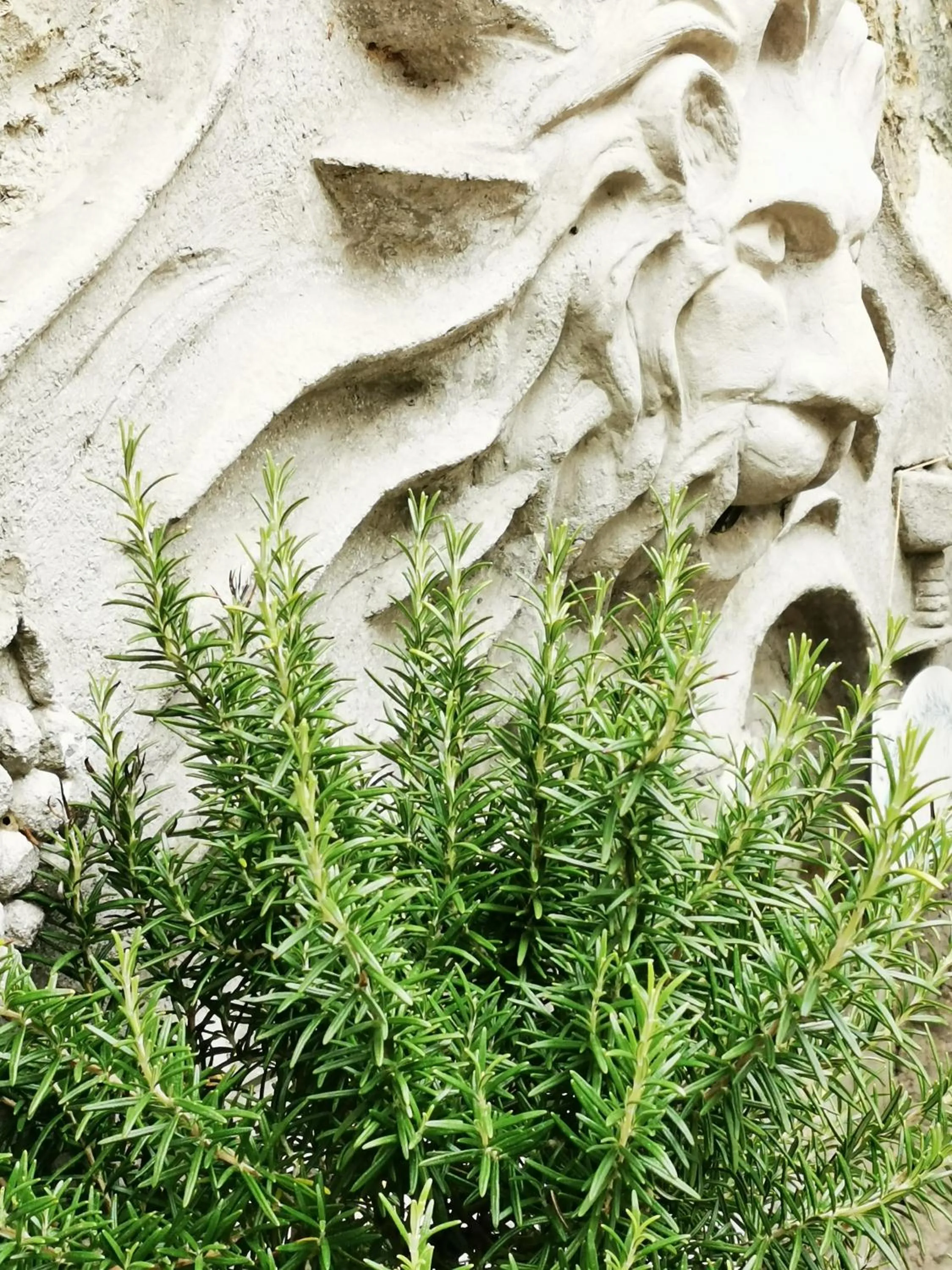 Decorative detail in Das Stadthaus