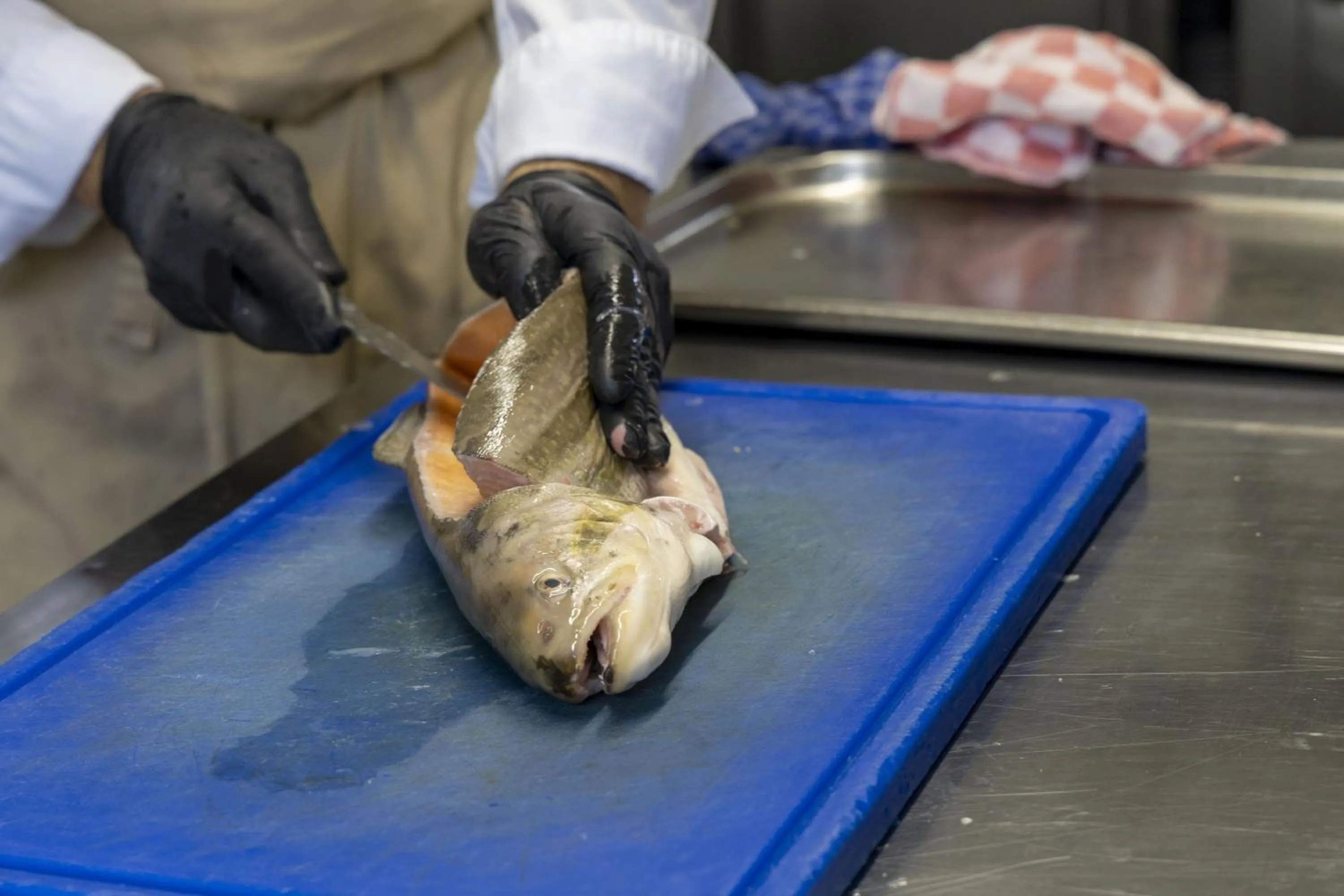 Das Gasthaus am Reichswald