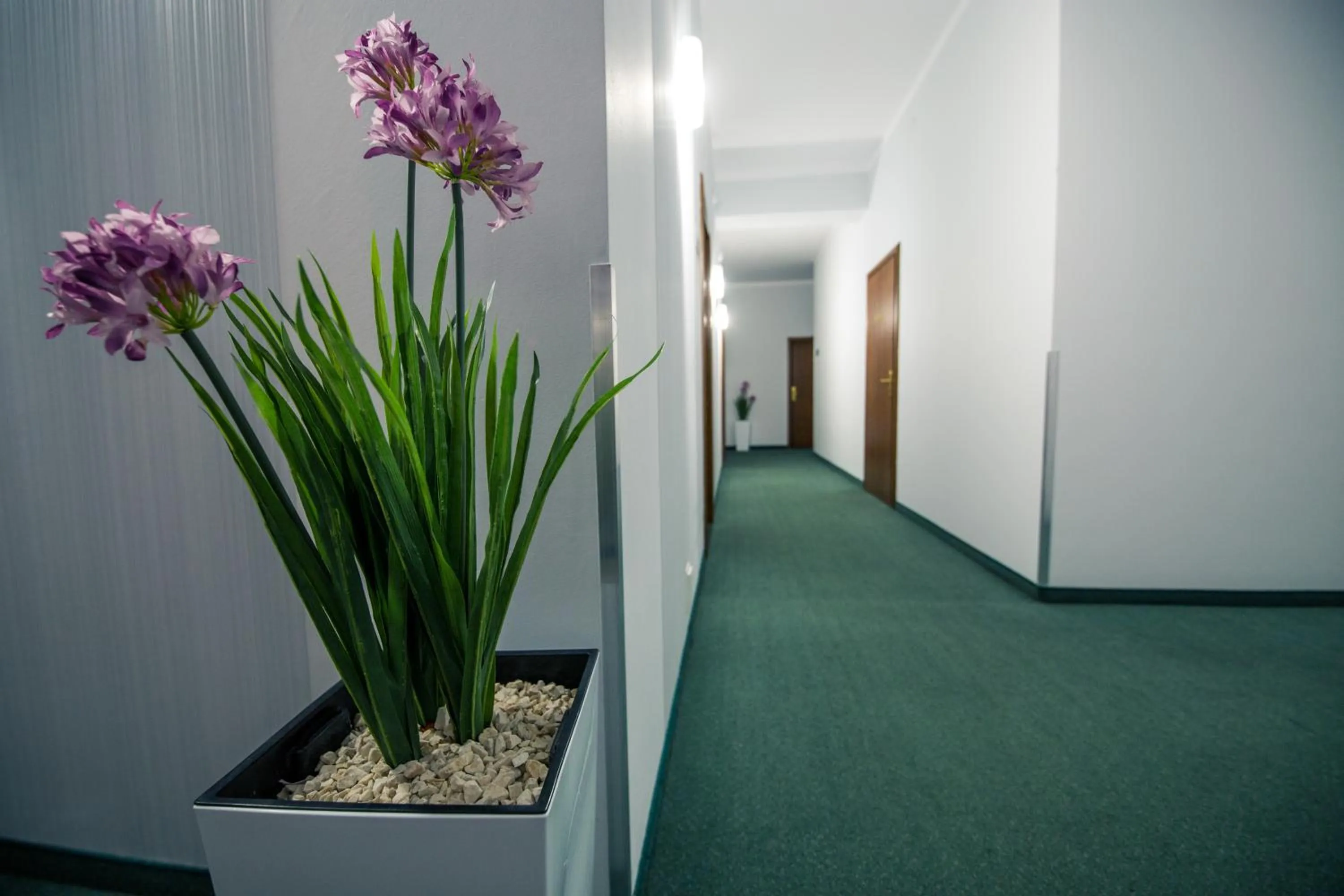 Property building in Hotel Villa Riviera