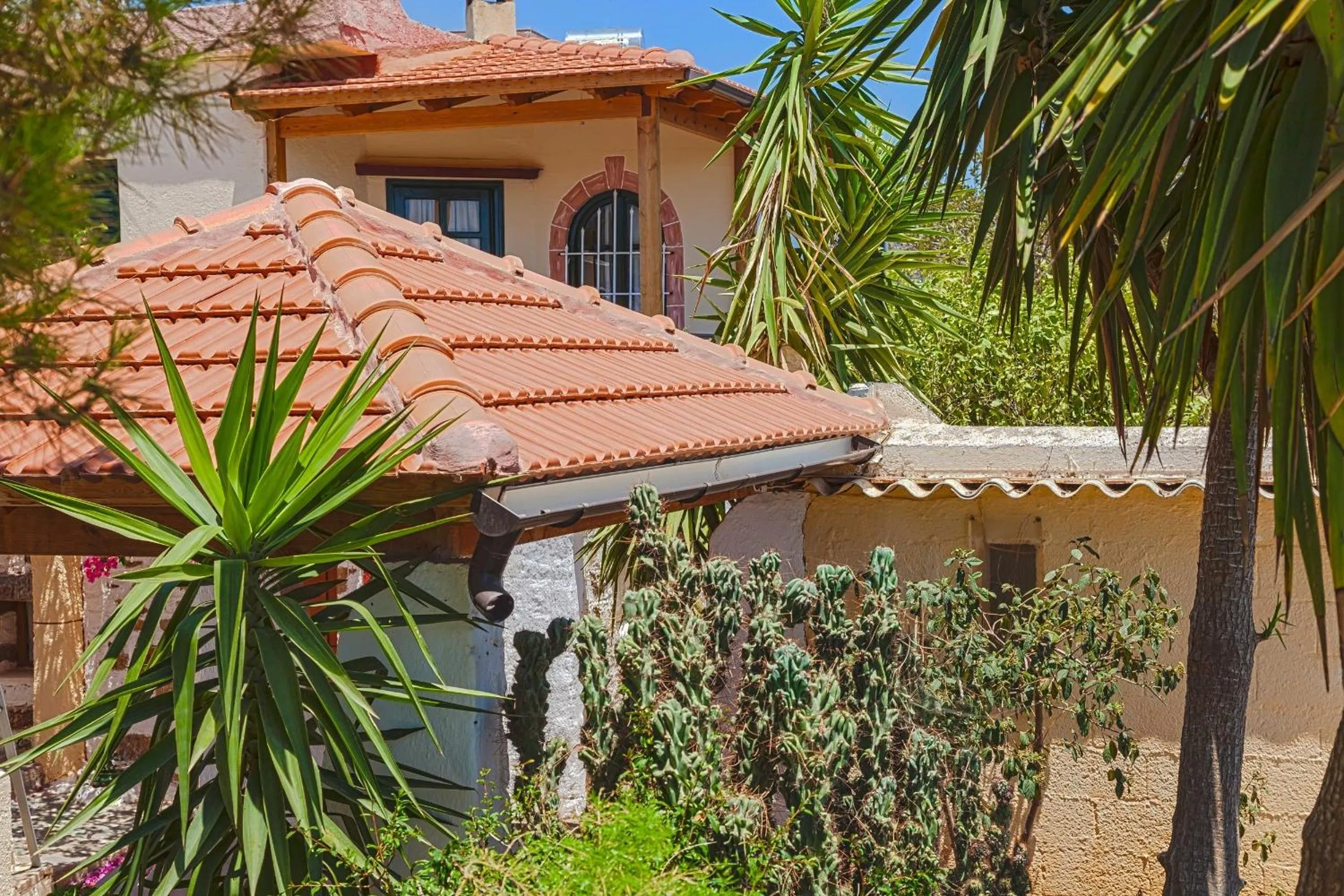 Garden in Hotel Eliza