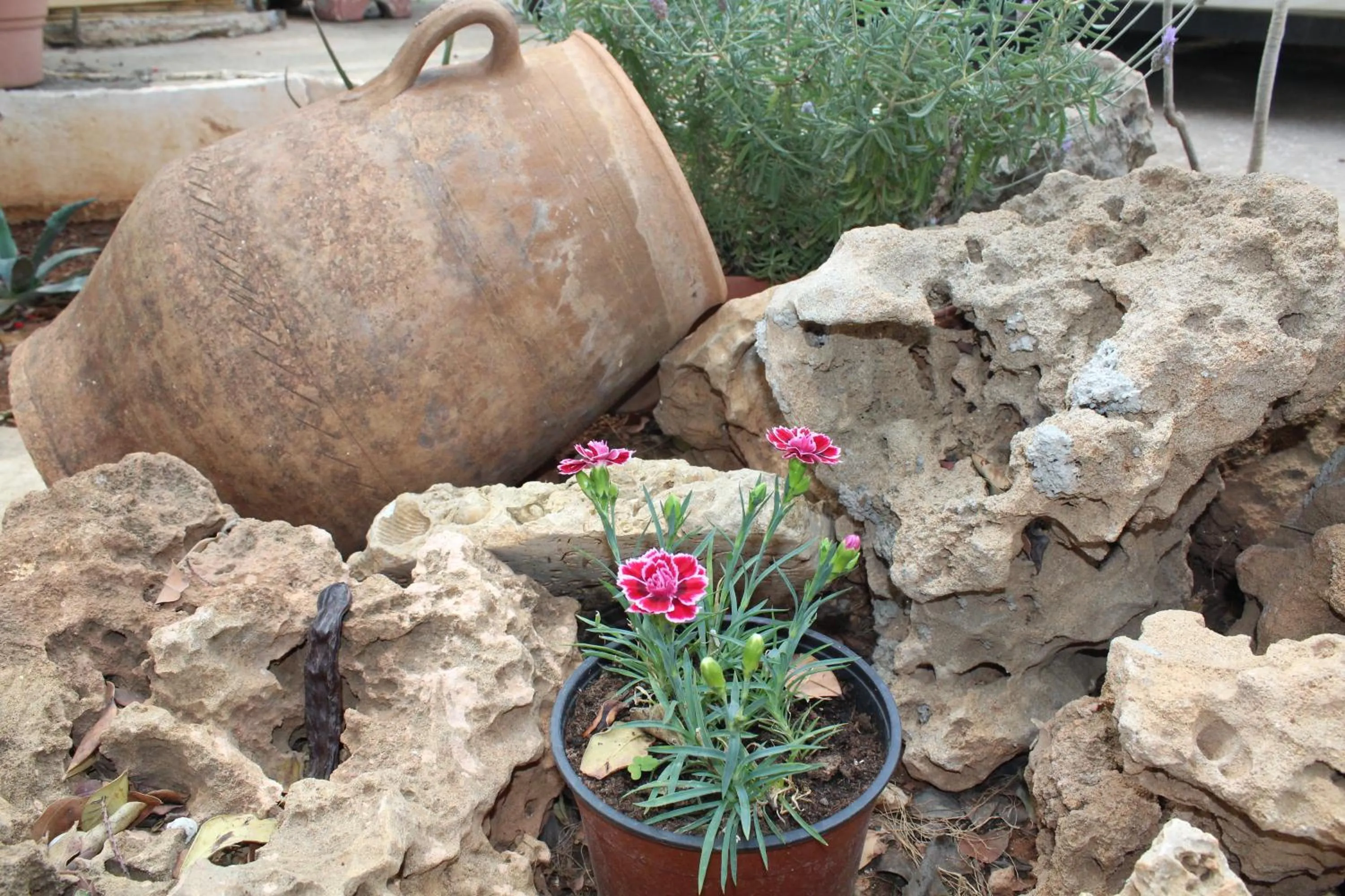 Decorative detail in Hotel Eliza