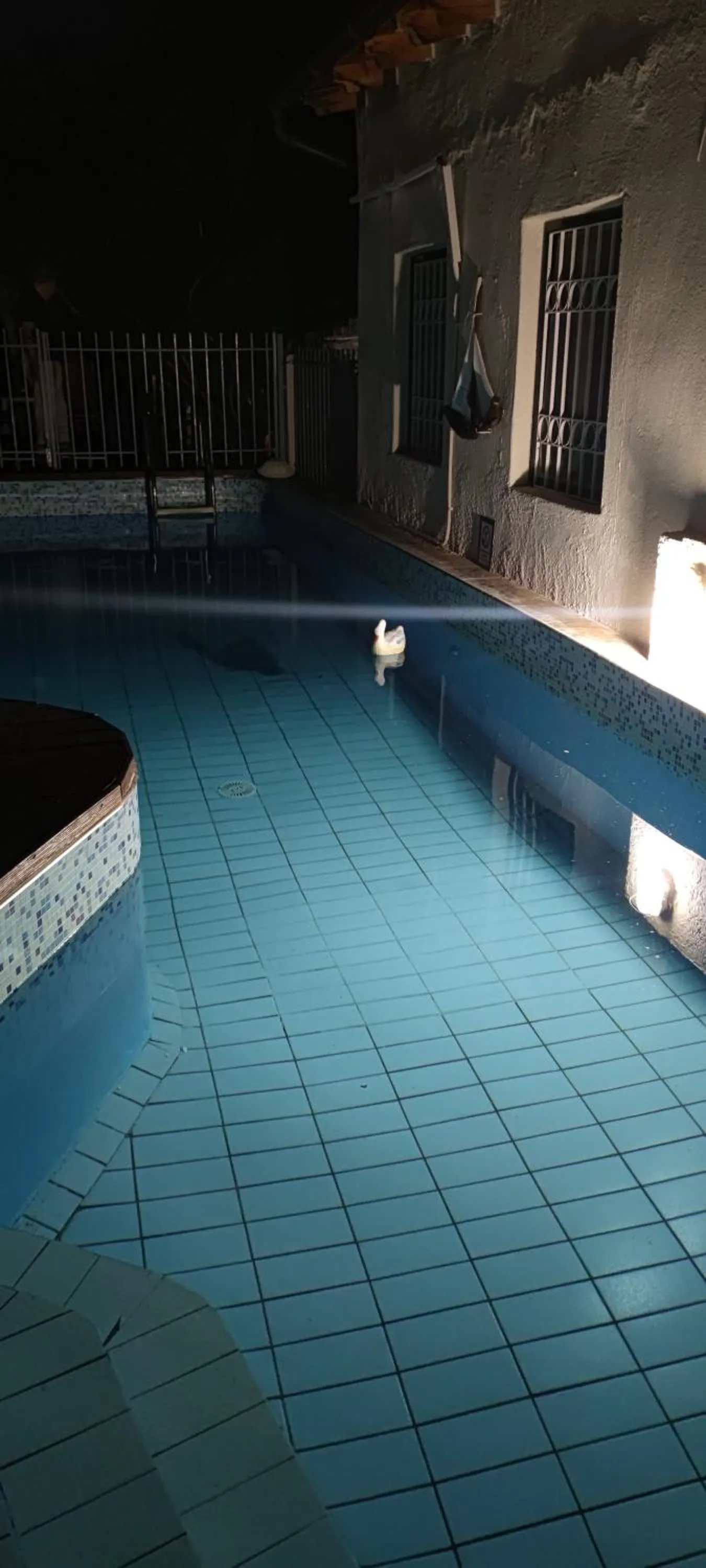 Swimming pool in Hotel Eliza