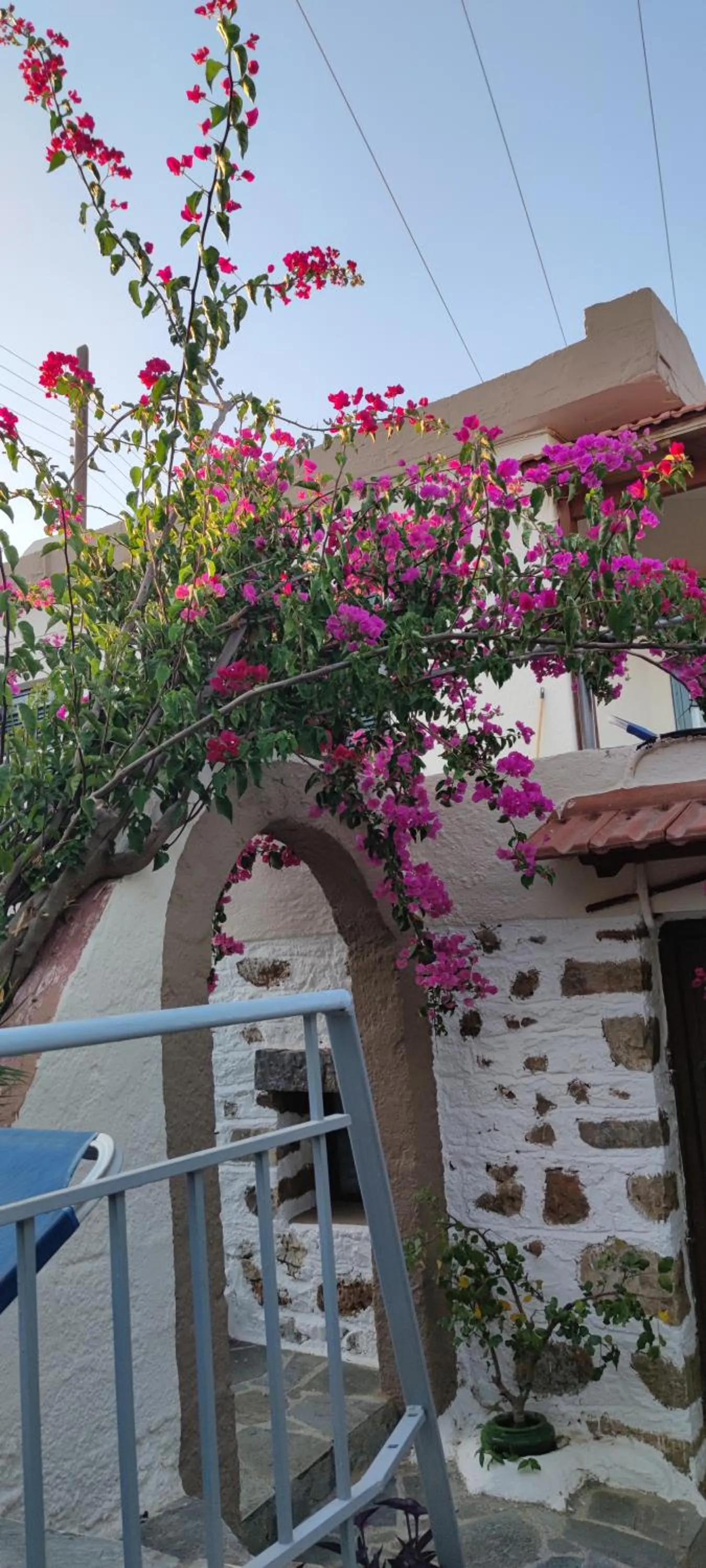 Property building in Hotel Eliza