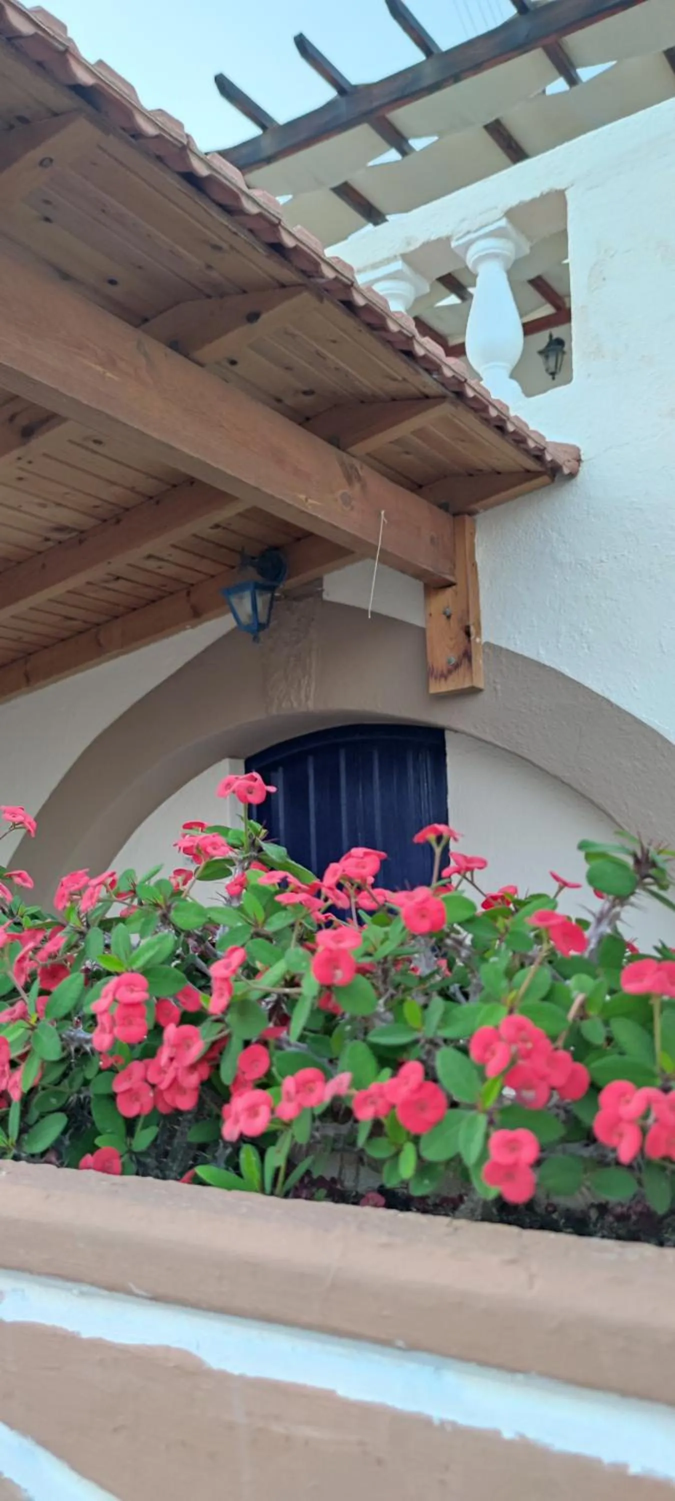 Facade/entrance in Hotel Eliza