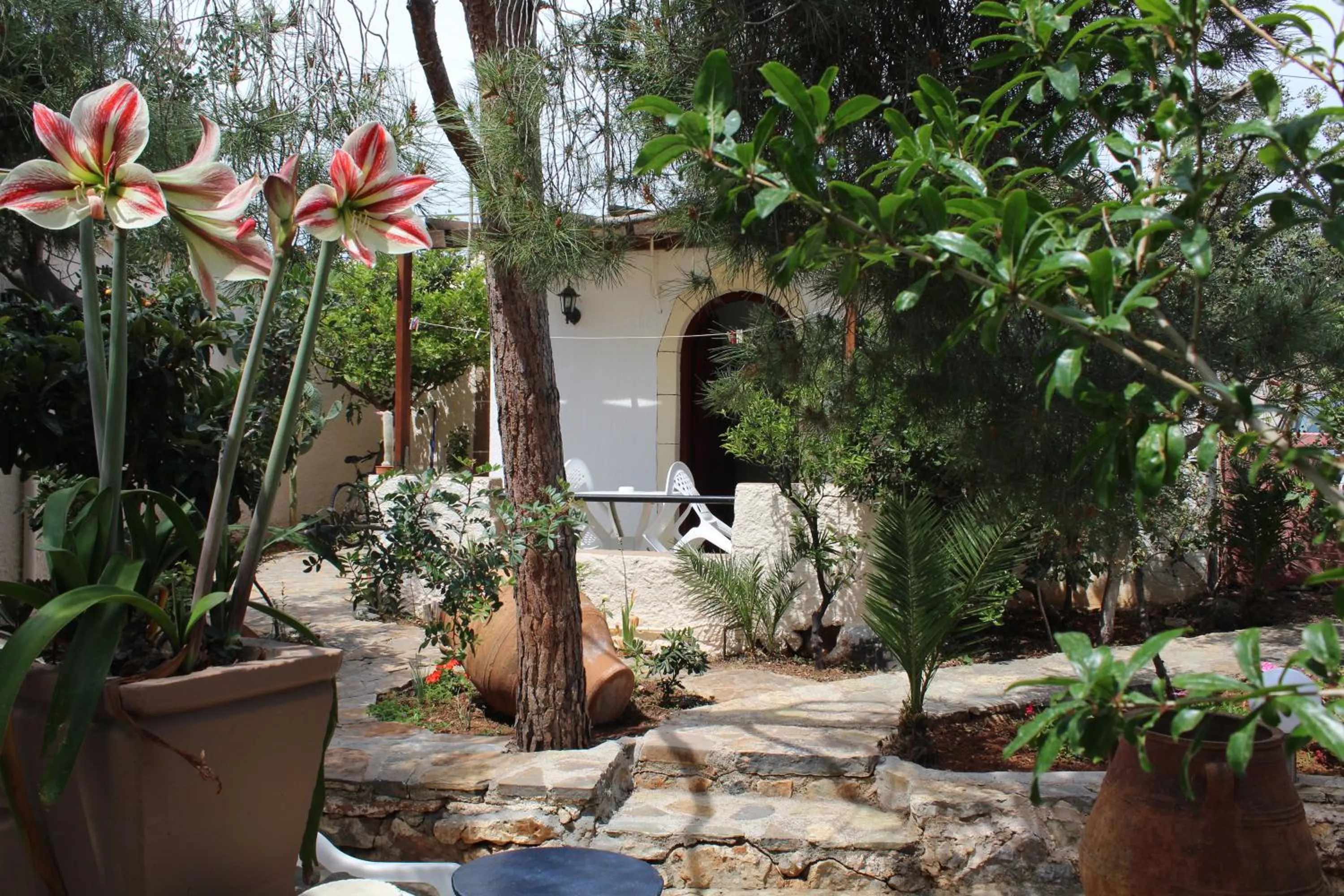 Other in Hotel Eliza