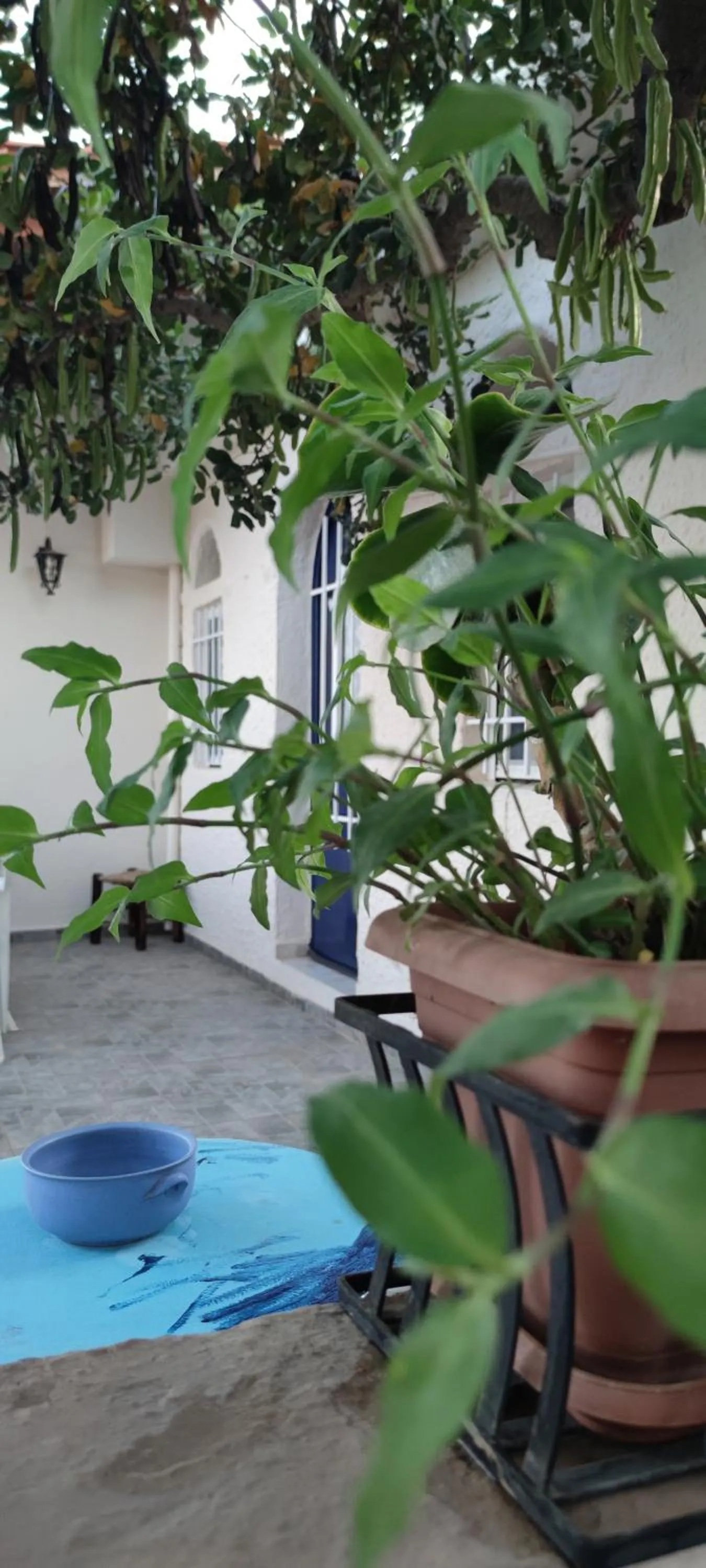 Facade/entrance in Hotel Eliza