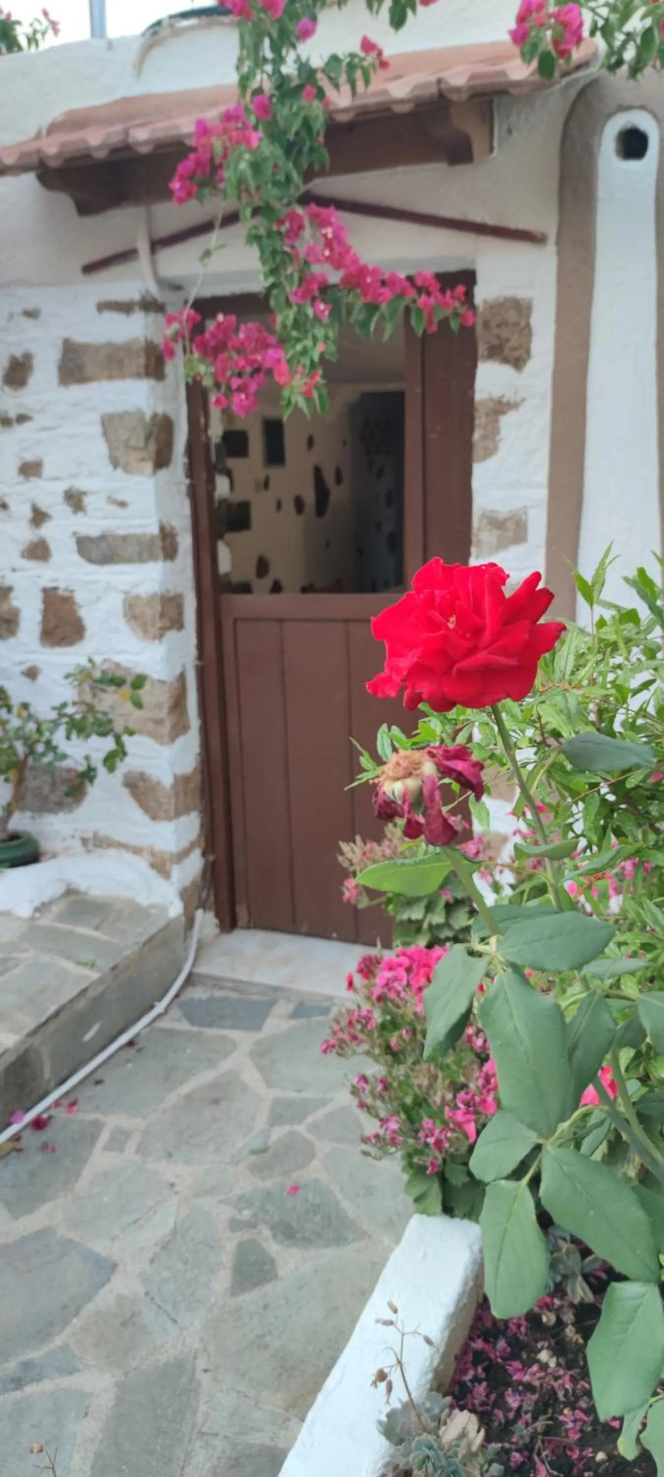 Garden view in Hotel Eliza