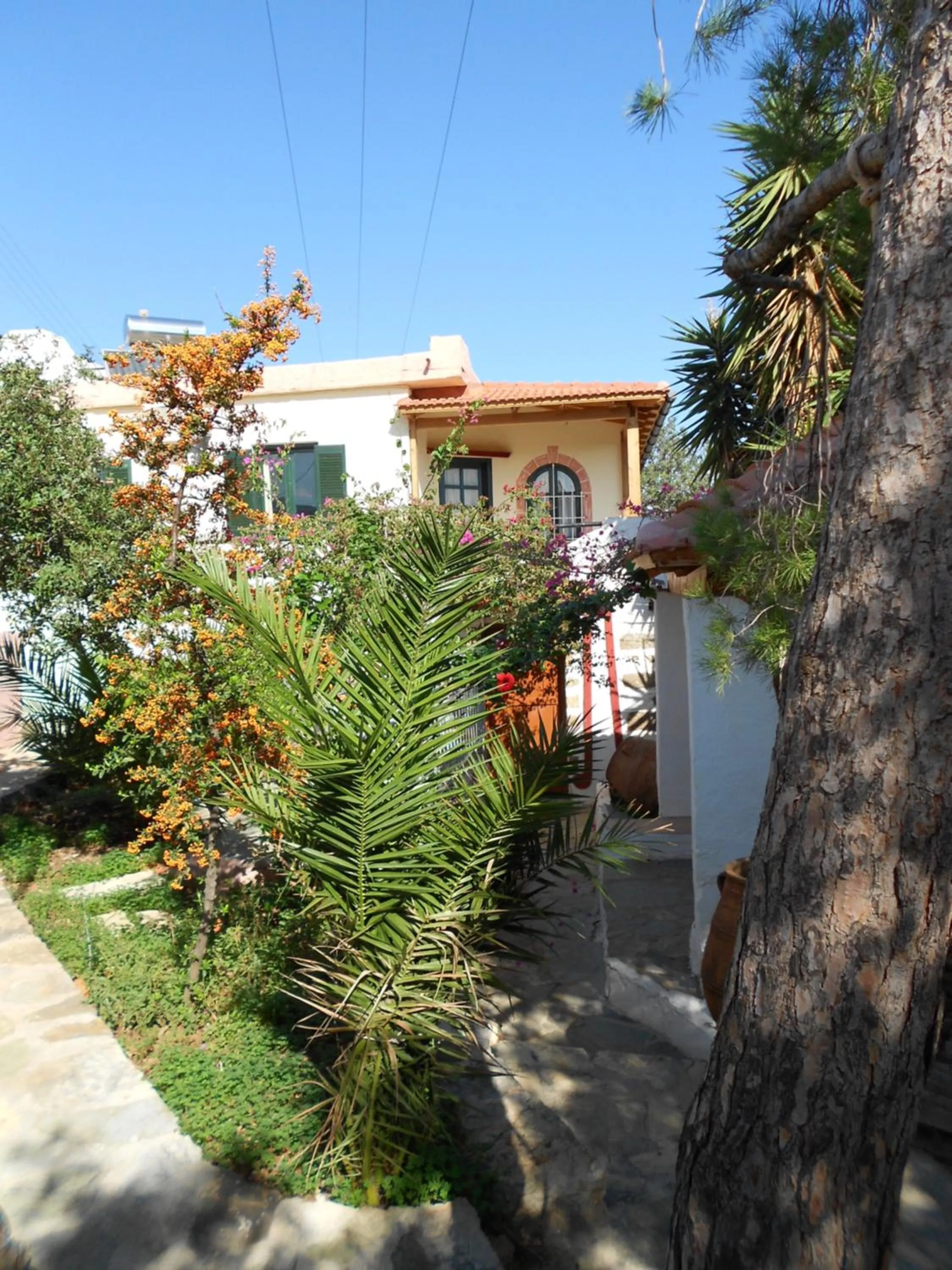 Property building in Hotel Eliza