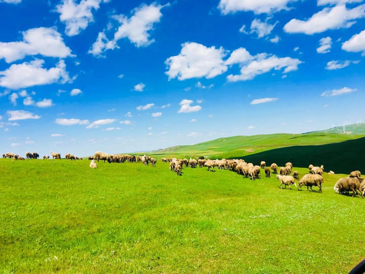 Natural landscape in Lantern Hotel