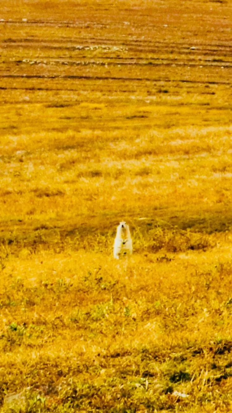 Natural landscape in Lantern Hotel