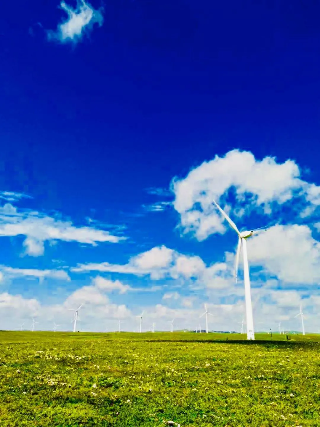 Natural landscape in Lantern Hotel