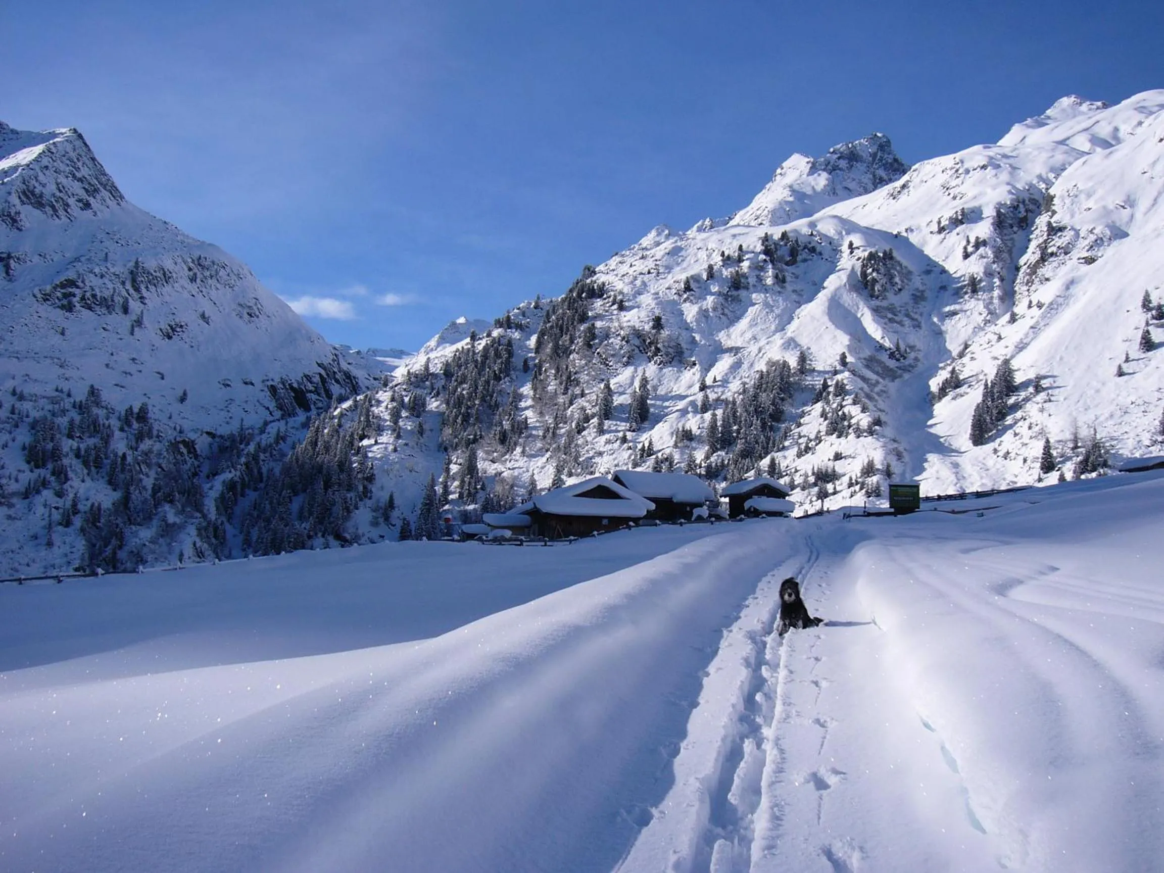 Natural landscape in Hotel Brunnenhof