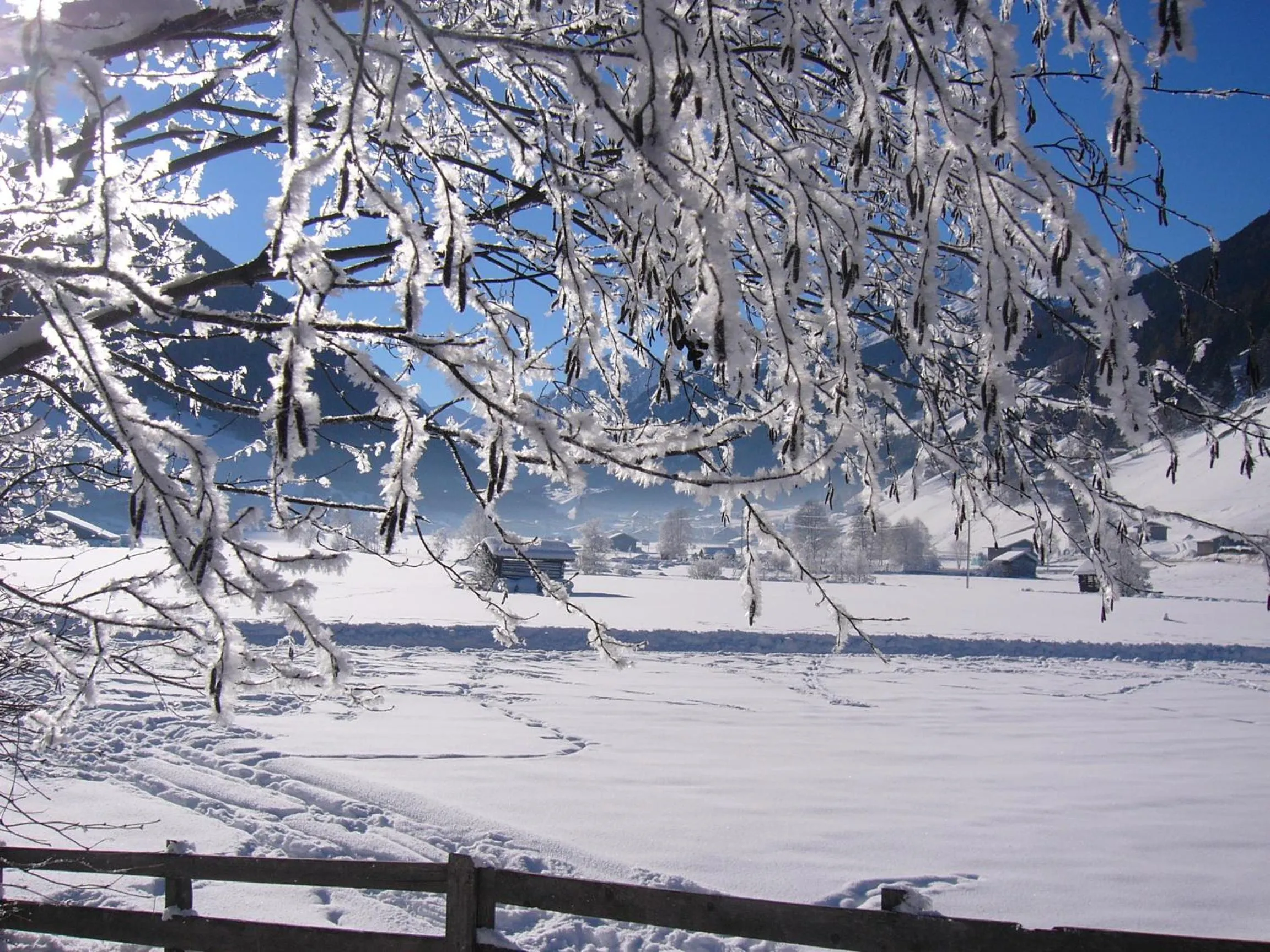 Natural landscape in Hotel Brunnenhof