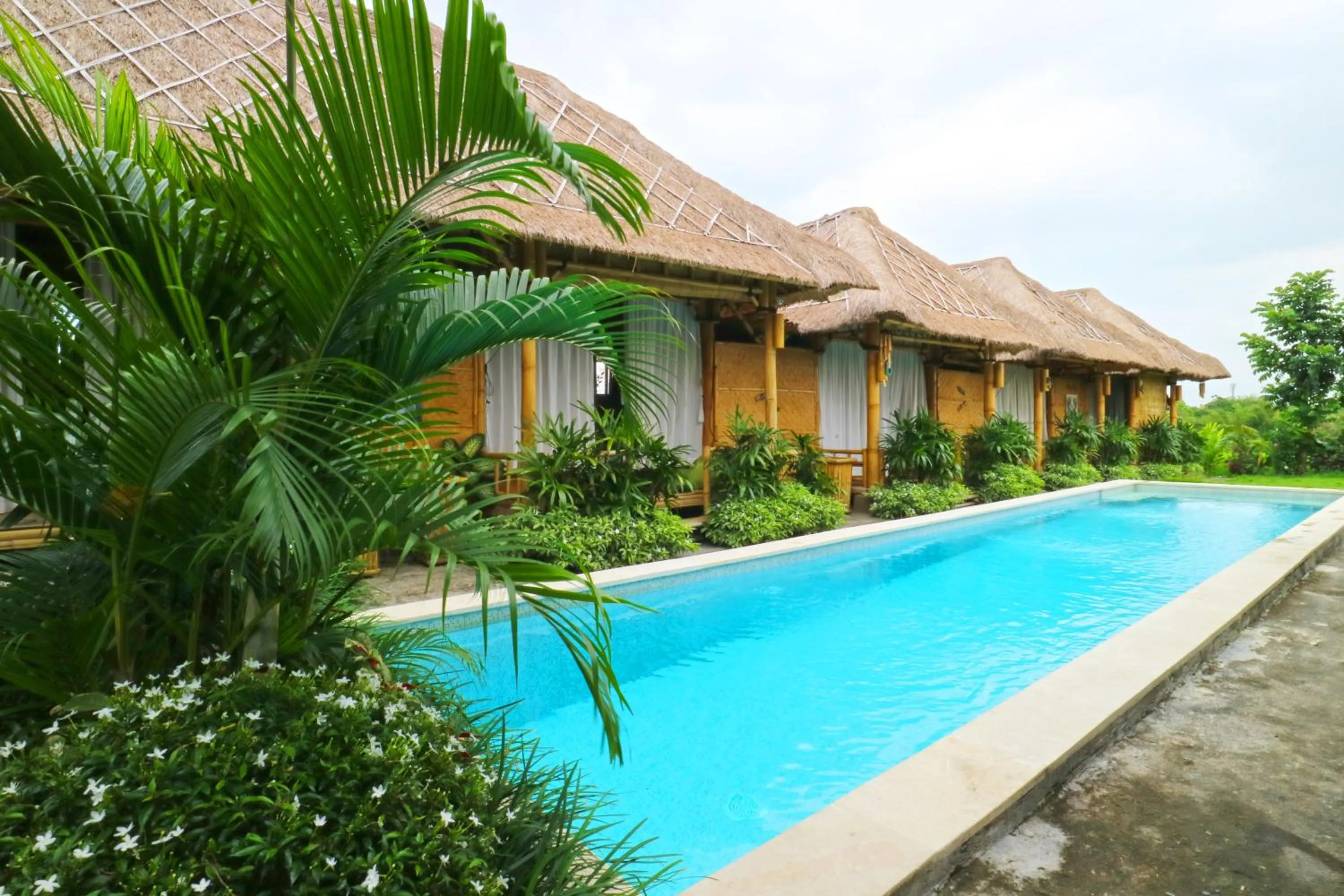 Property building in Moon Bamboo