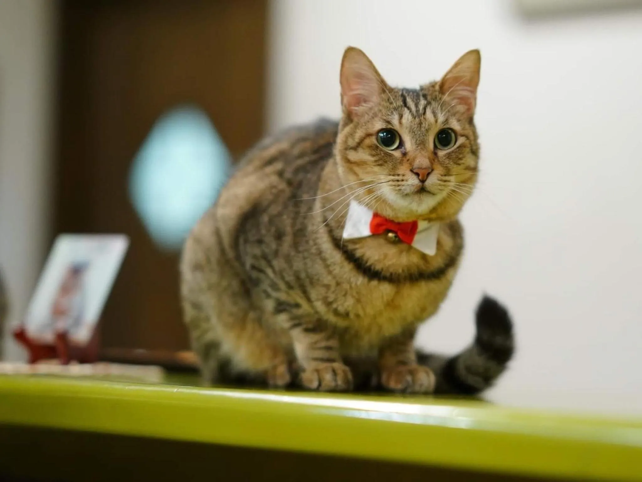 Staff in Kannawa Yunoka