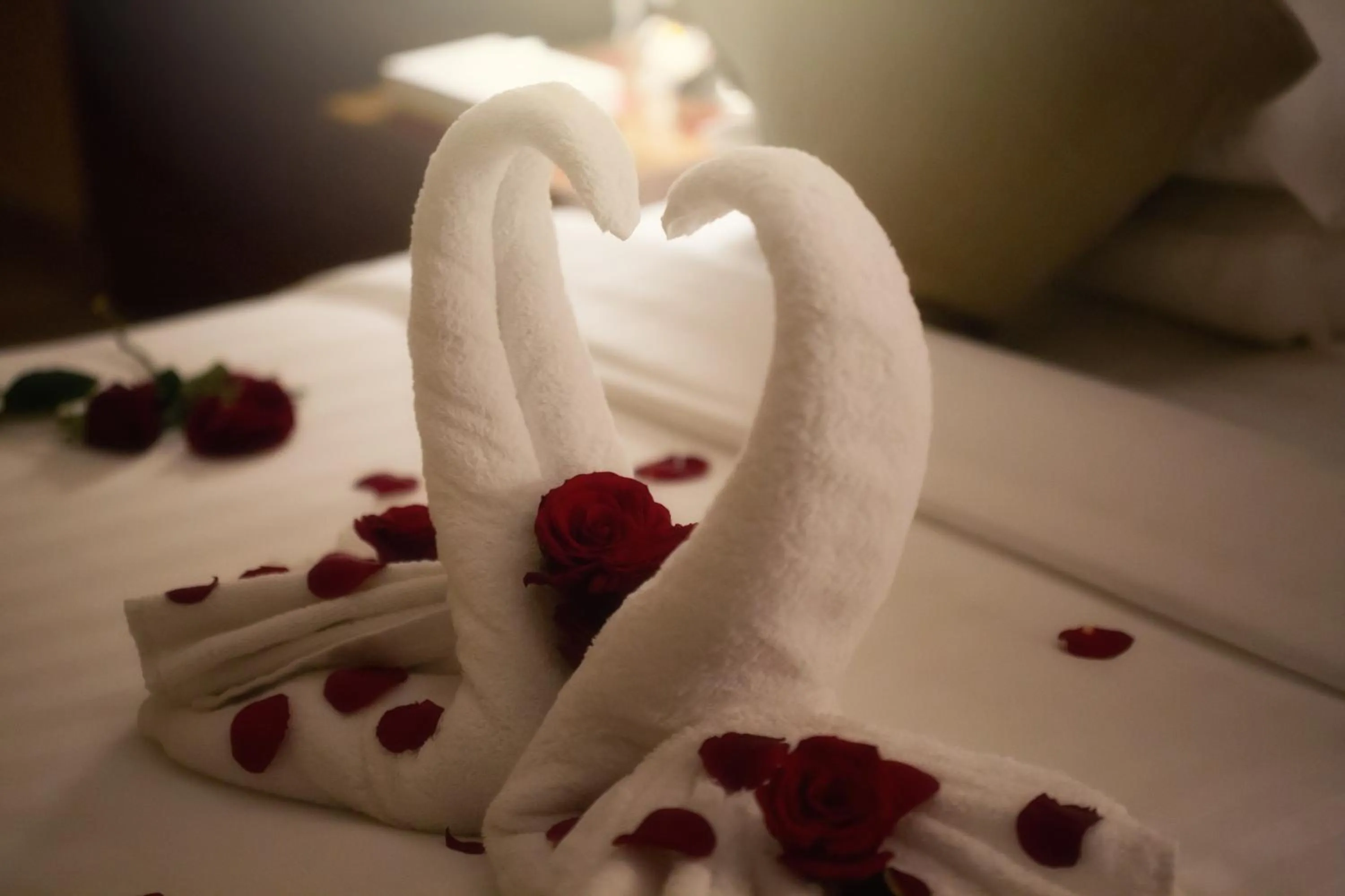 Al Safwah Orchid Hotel