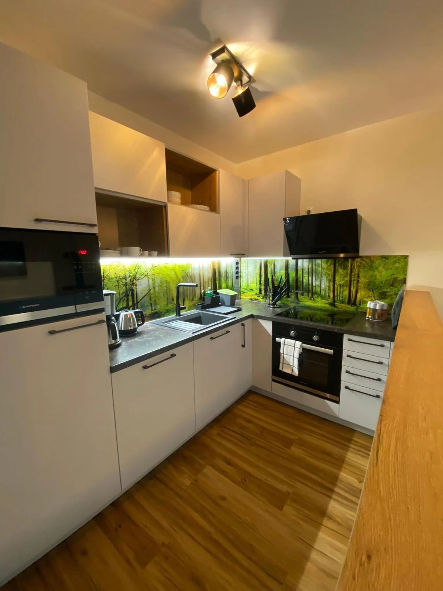 Kitchen or kitchenette in Villa Wilisch