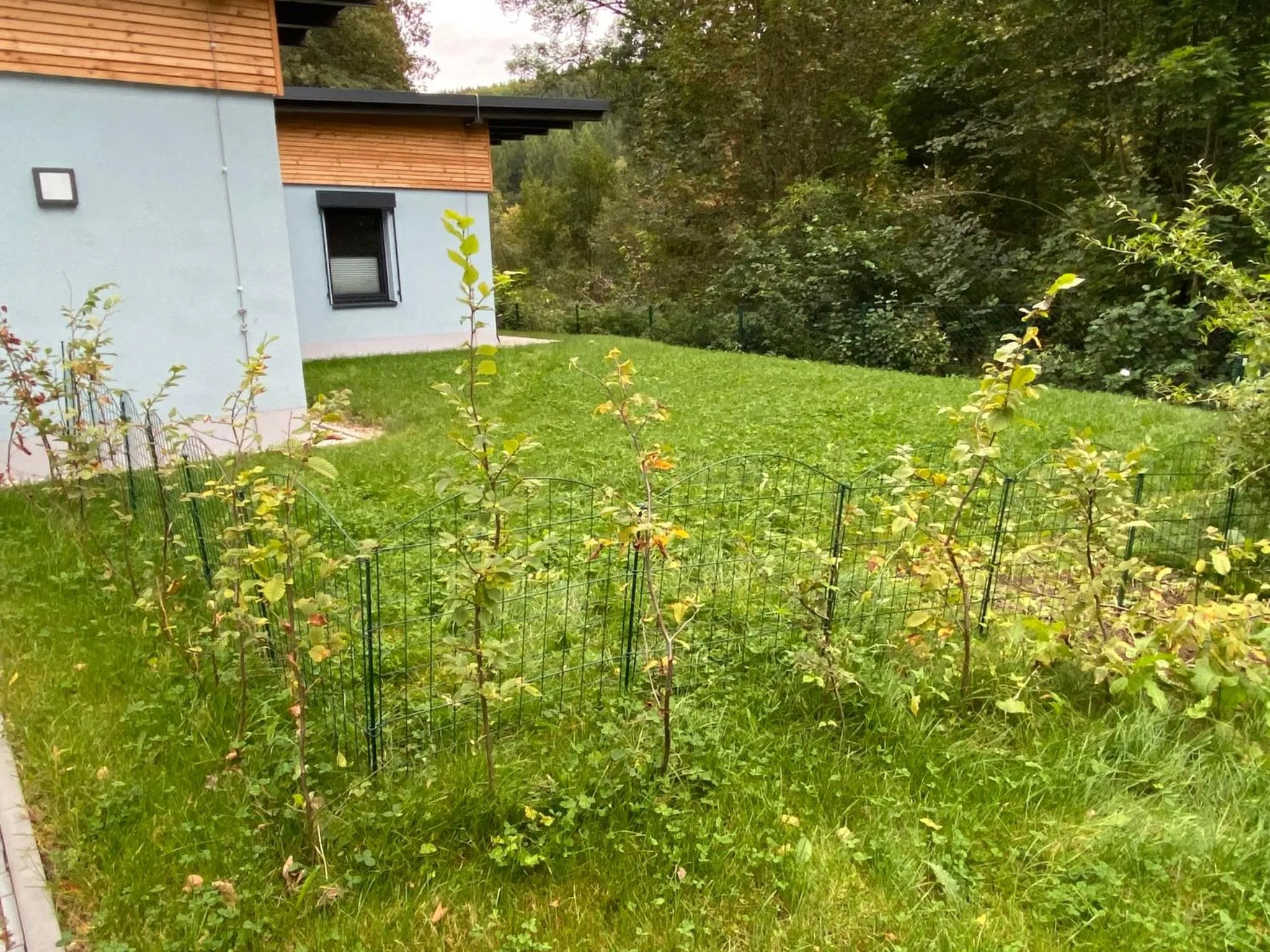 Property building in Villa Wilisch