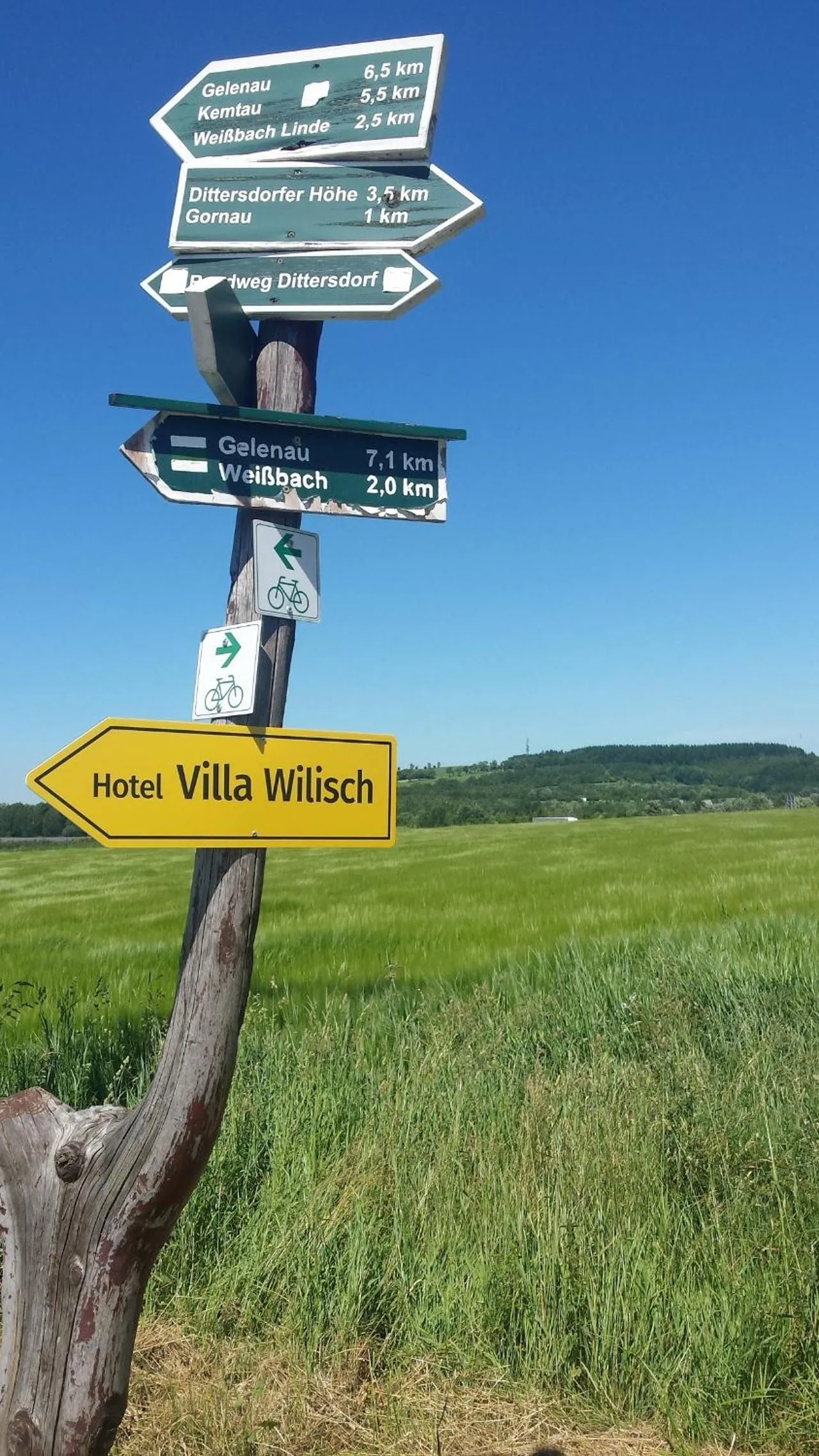 Off site in Villa Wilisch