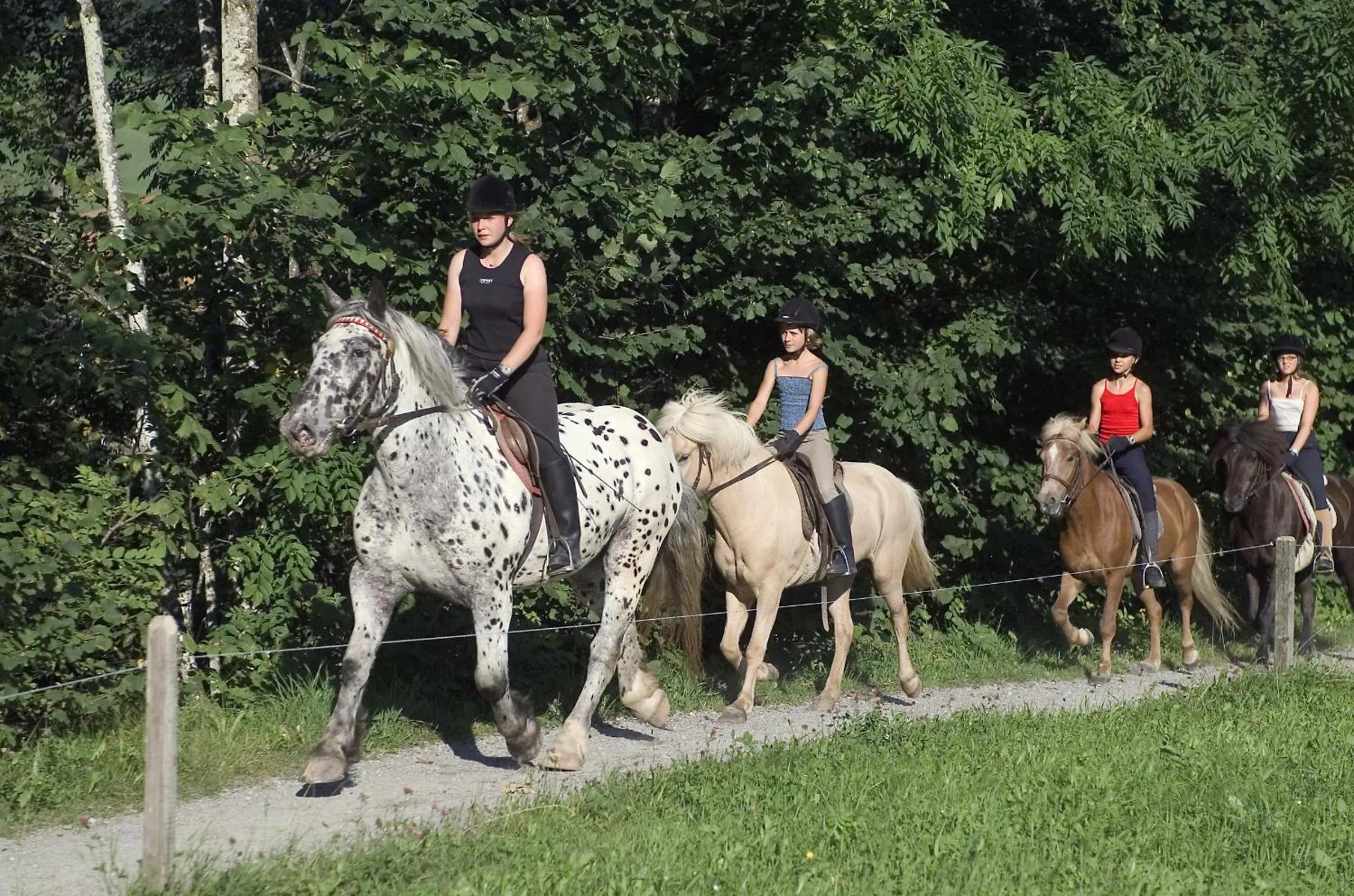 Horse-riding in Hotel Gut Kramerhof