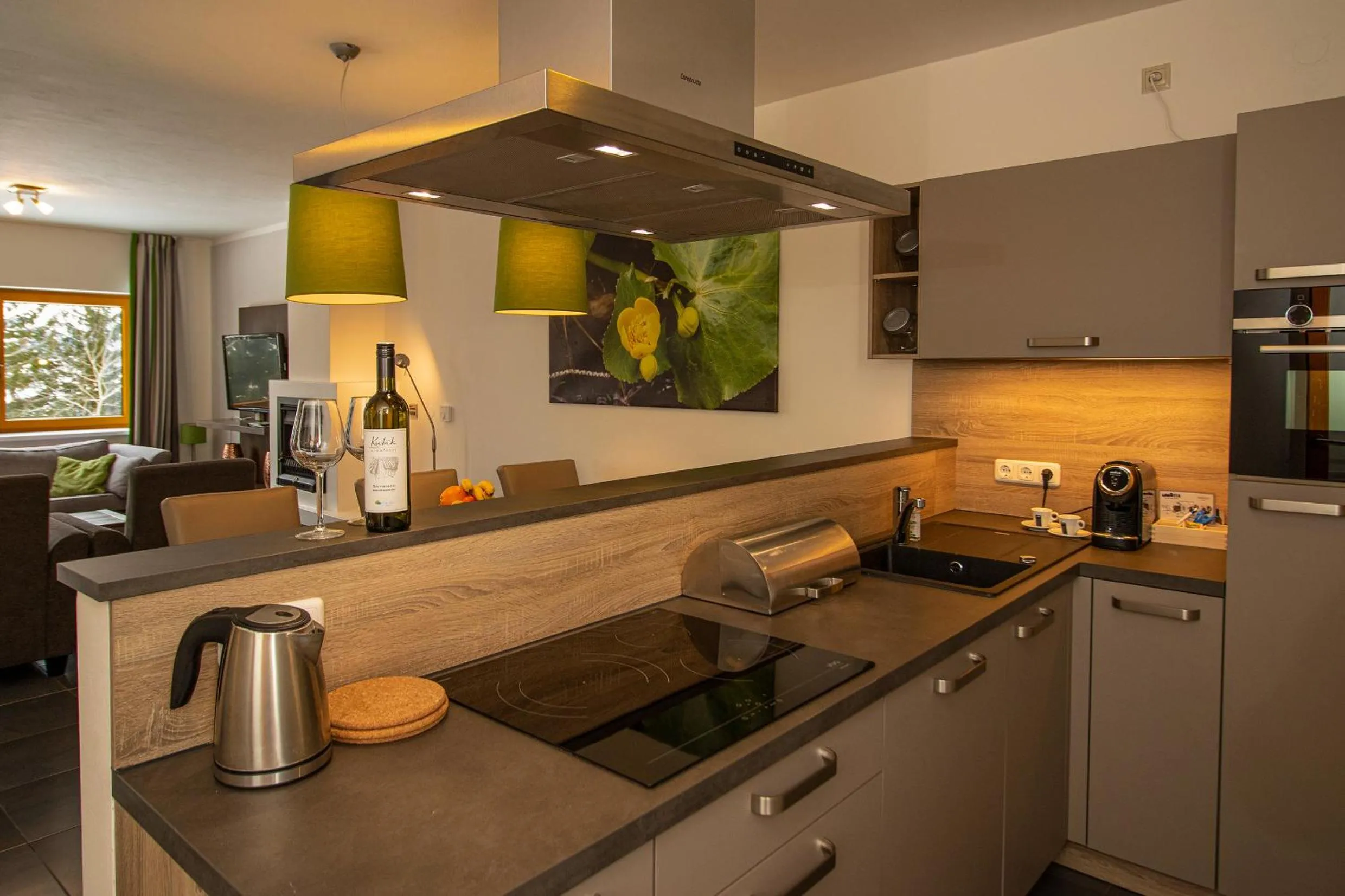 Kitchen or kitchenette in Lipno Lake Resort