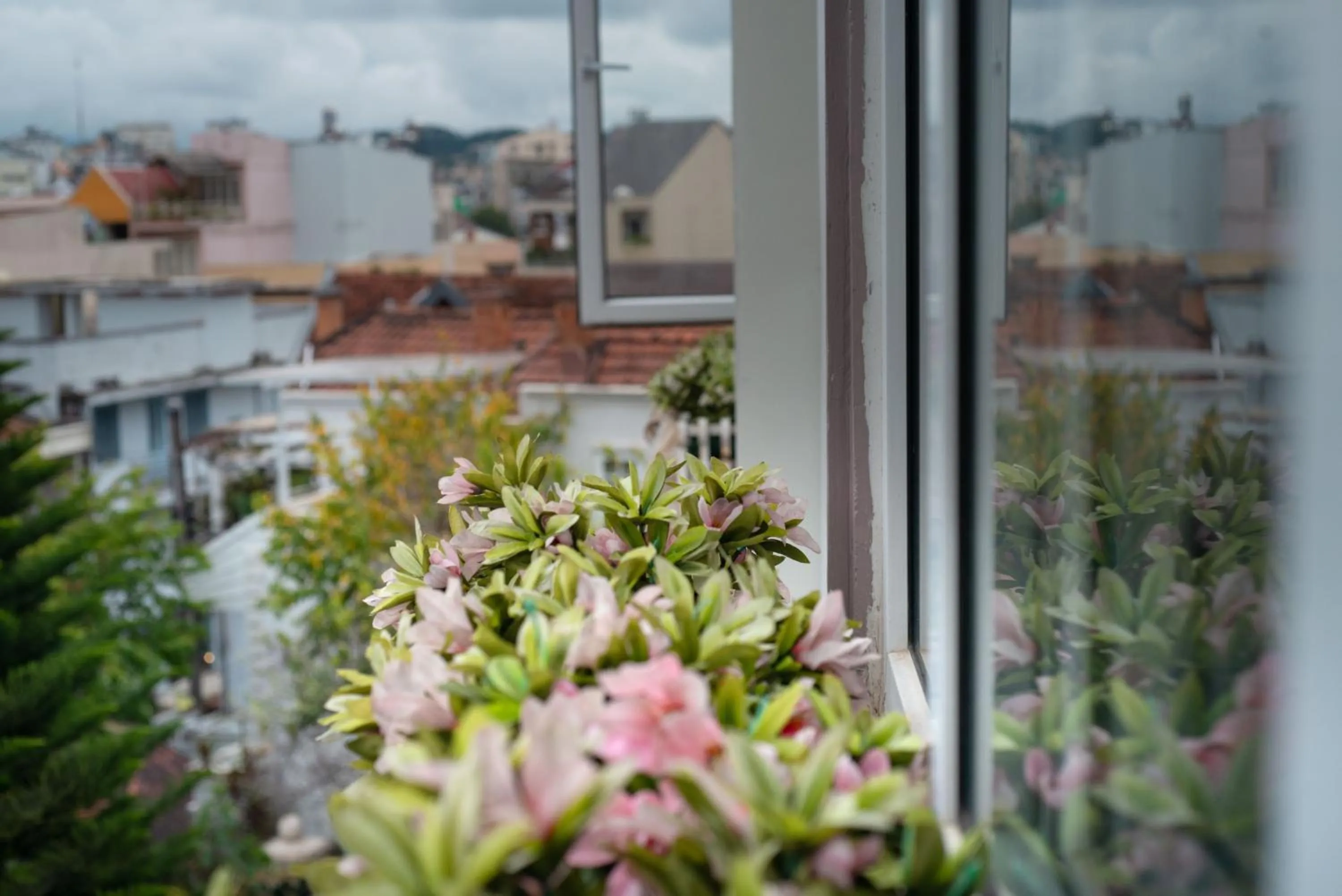 View (from property/room) in Duy Vinh Hotel Dalat