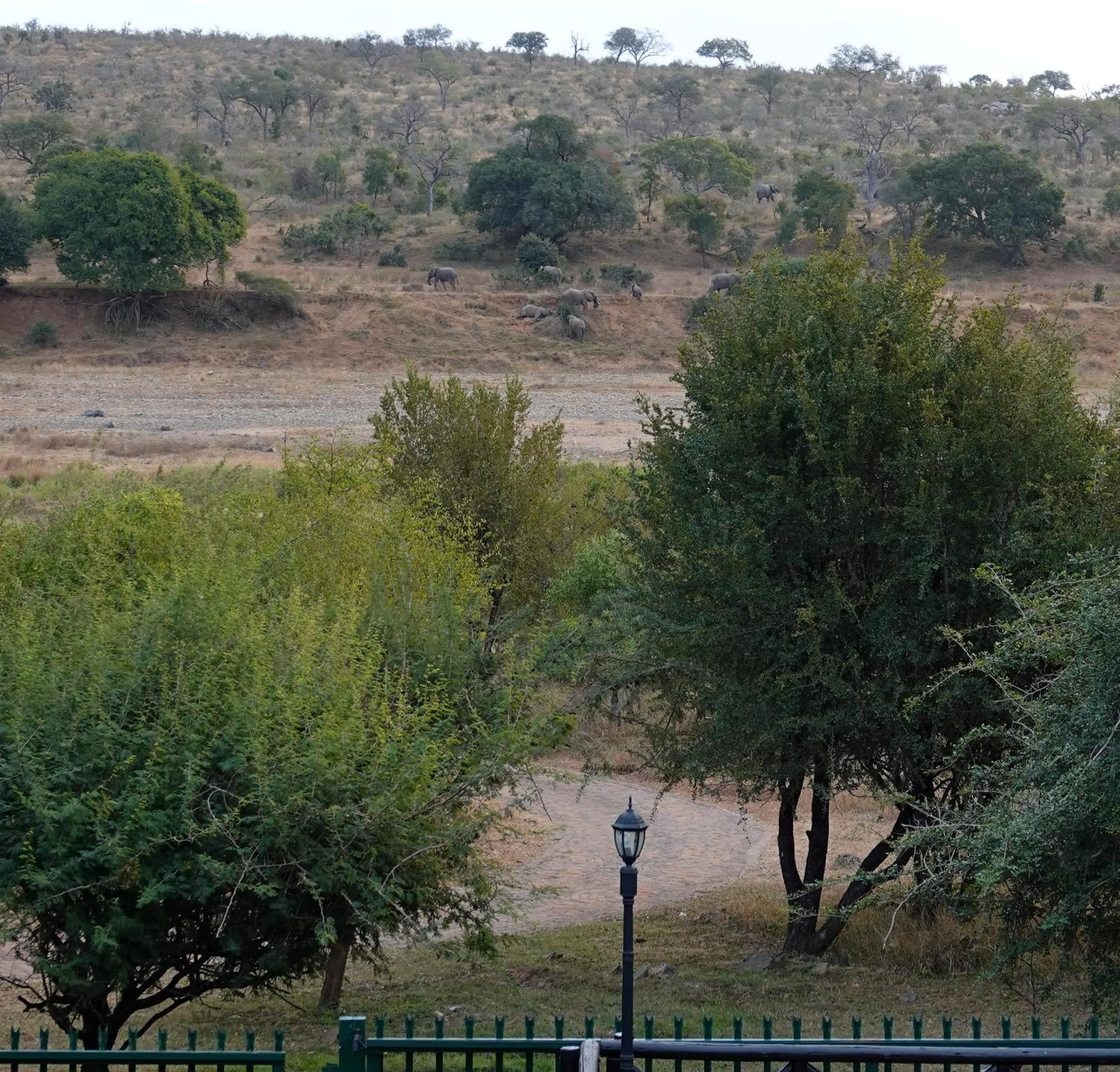 Natural landscape in Crocodile Kruger Safari Lodge
