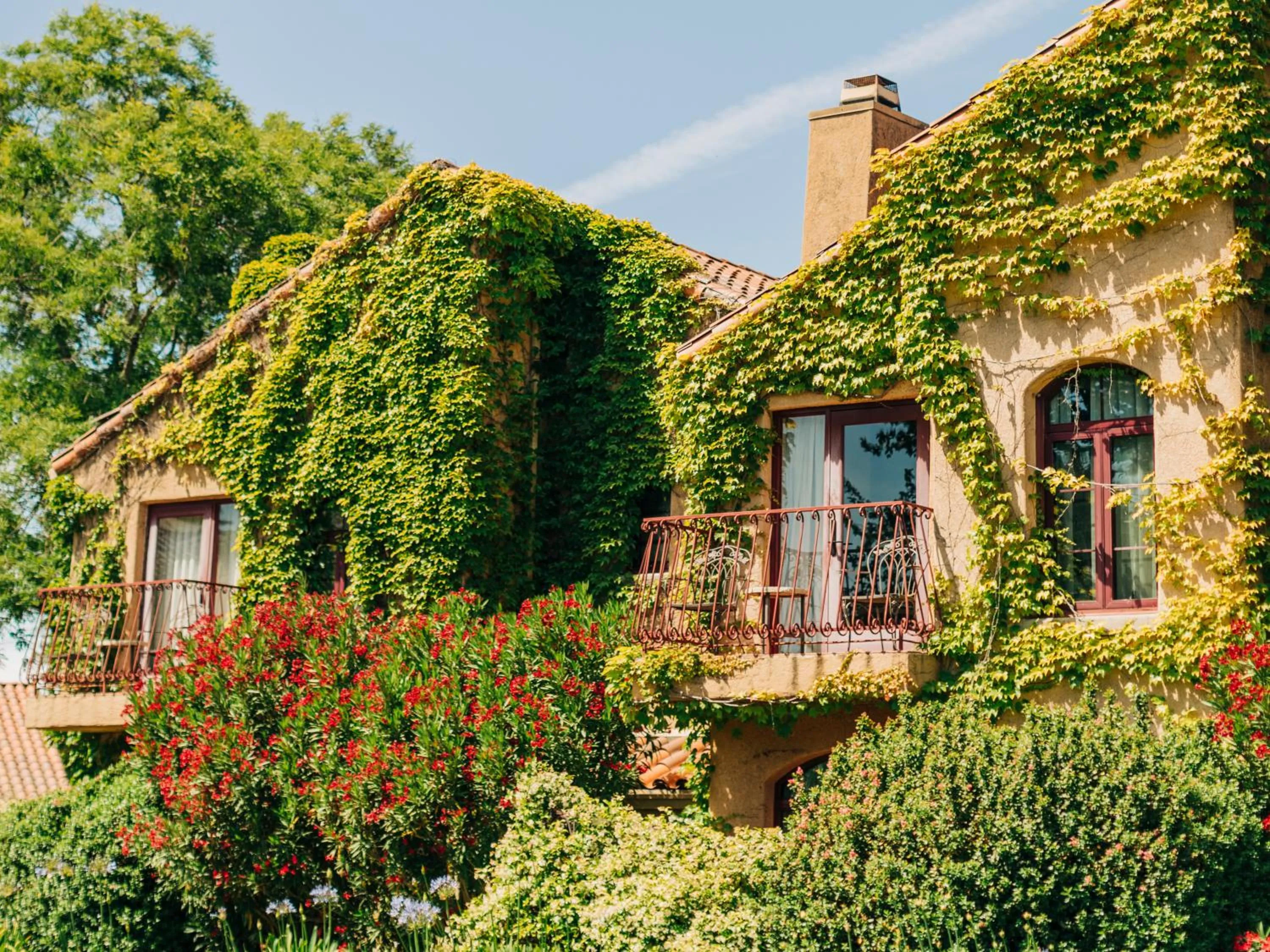 Balcony/Terrace in Vinarosa Resort & Spa