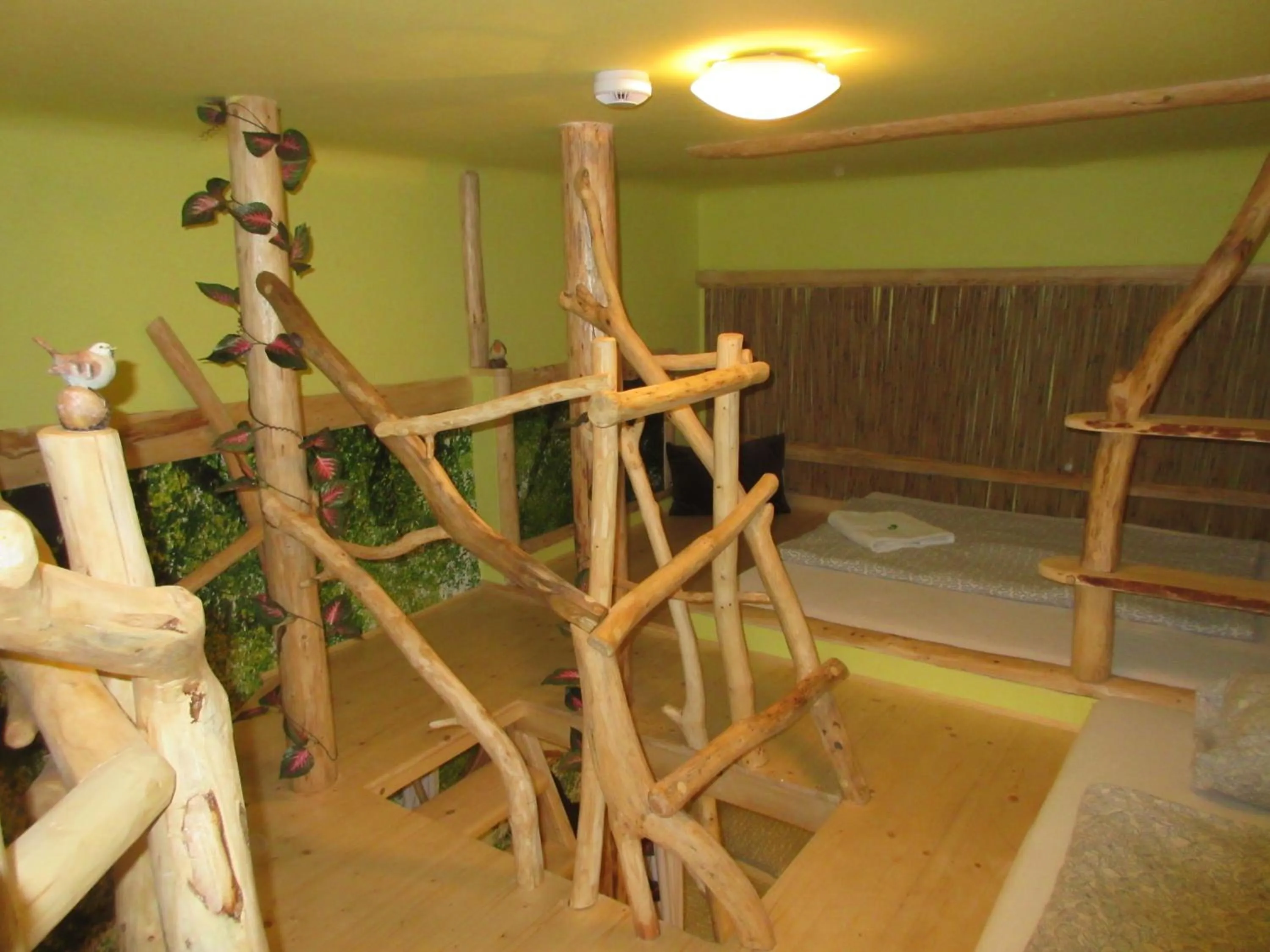 Photo of the whole room in ARTHARMONY Pension & Hostel