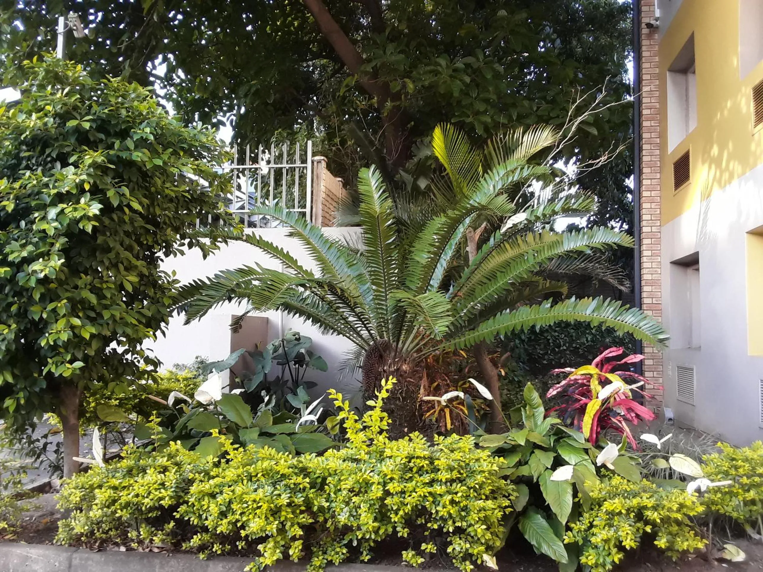 Garden in SUN1 Durban