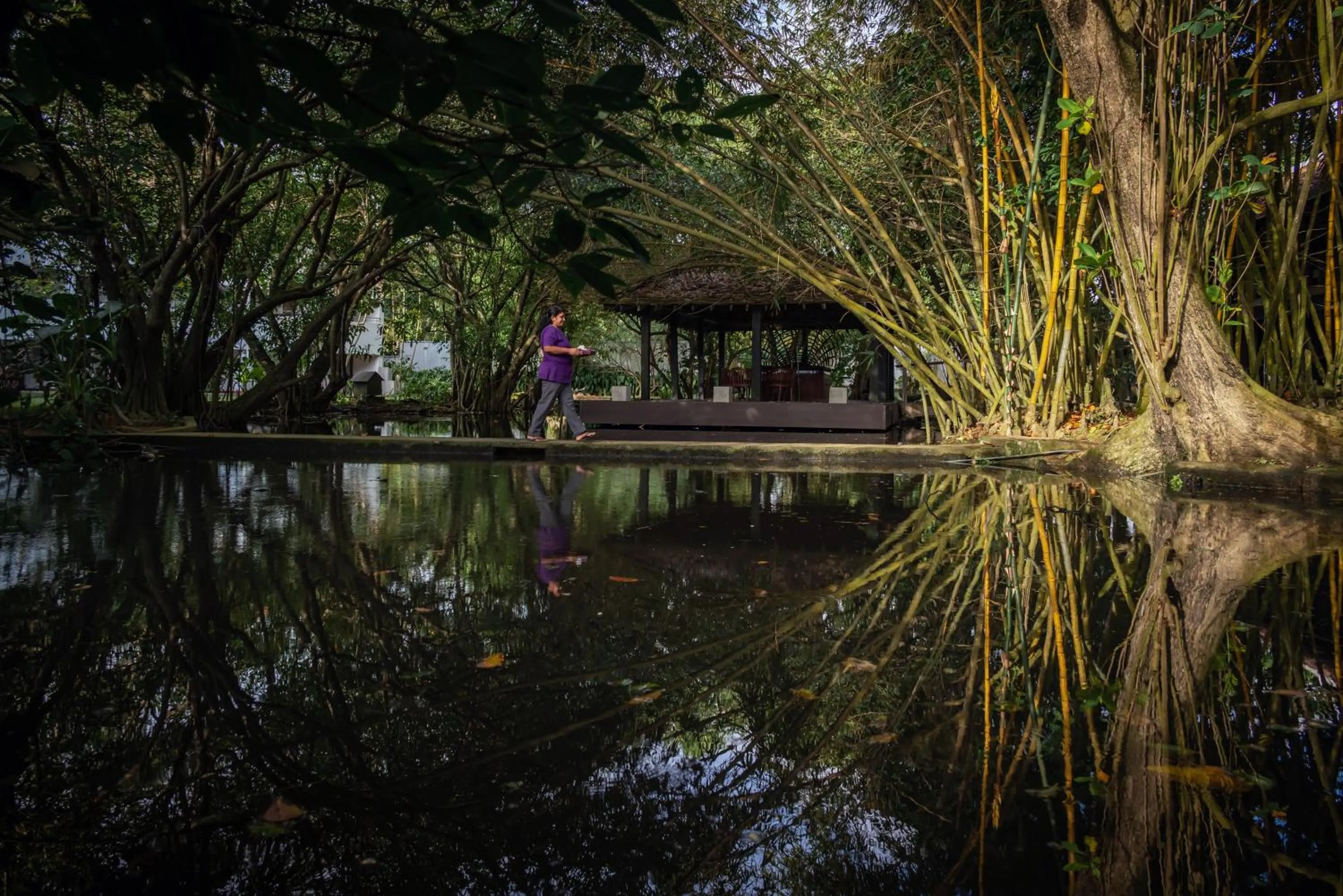 Natural landscape in Tangerine Beach Hotel