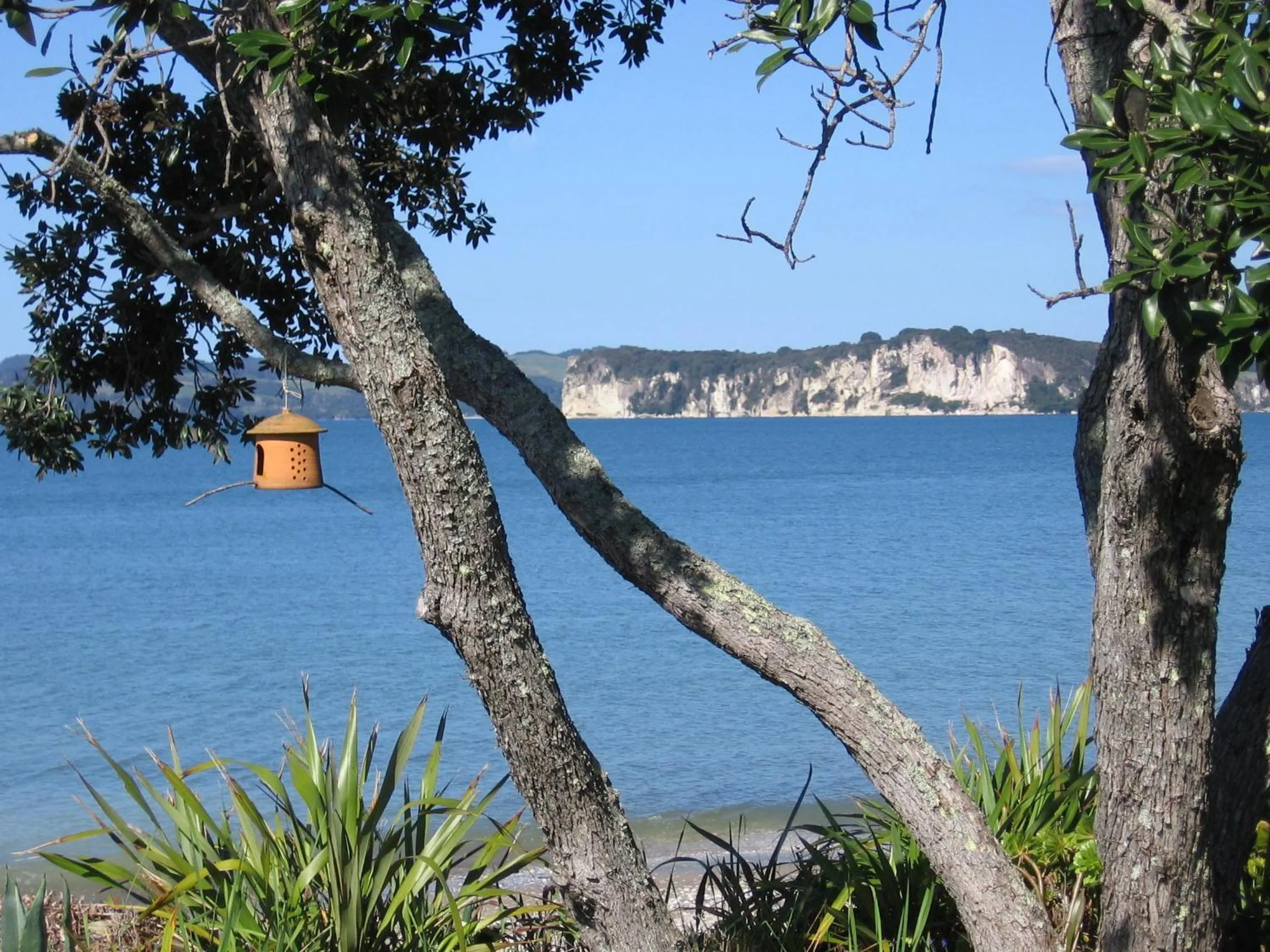 Day in Beachfront Resort