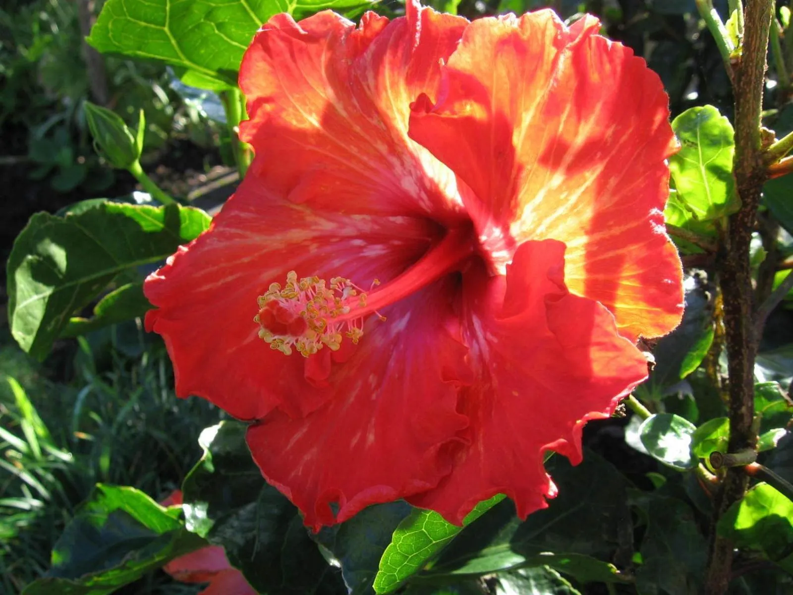 Other in Beachfront Resort