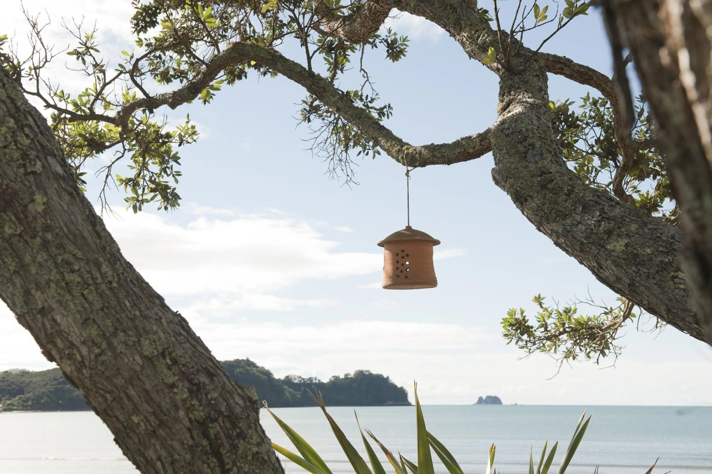 Day in Beachfront Resort