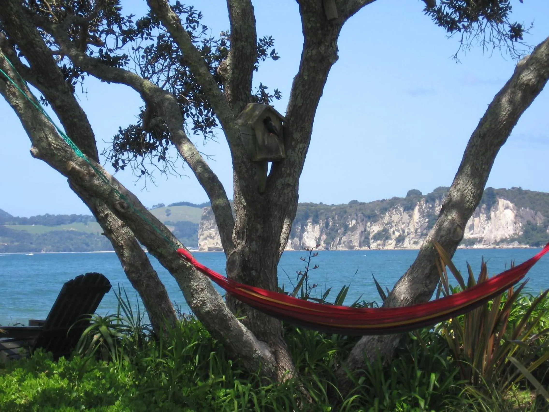 Patio in Beachfront Resort